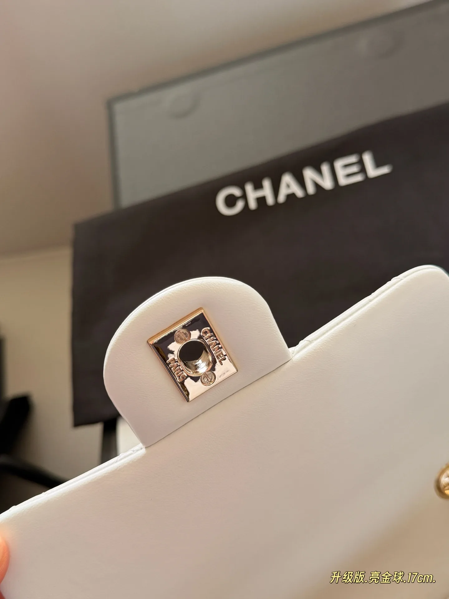 Chanel CF Quilted Leather Mini Bag D30018251 — view 14