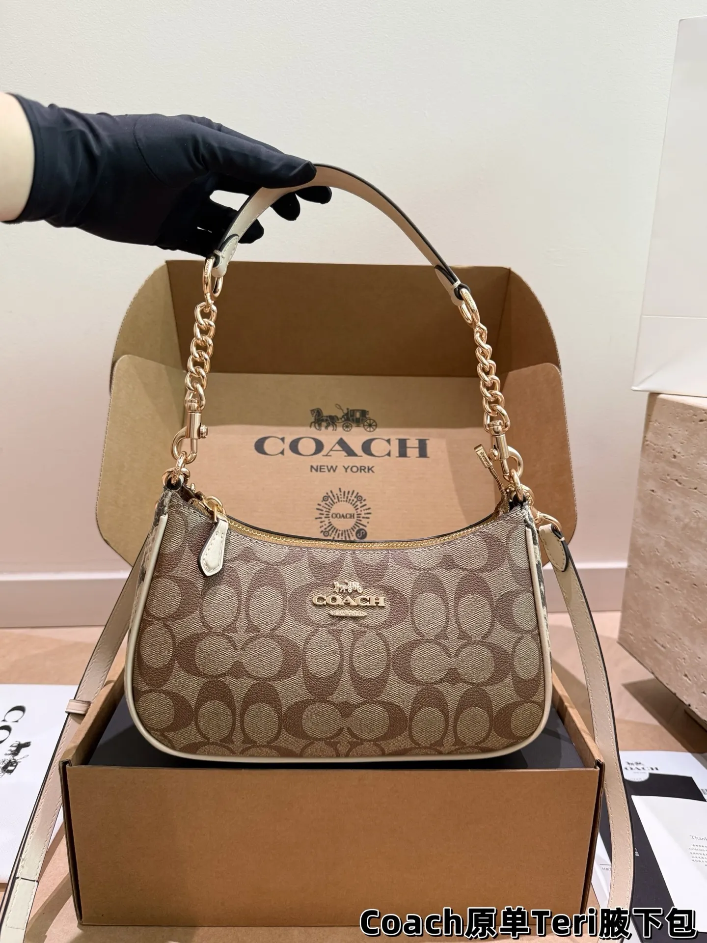 Coach Teri Monogram Shoulder Bag D30018145
