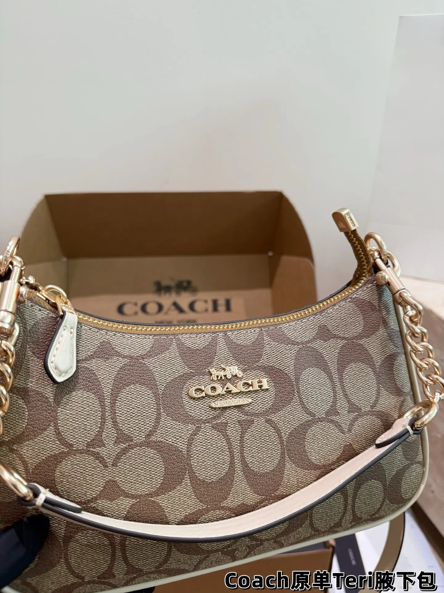 Coach Teri Monogram Shoulder Bag D30018145 — view 3