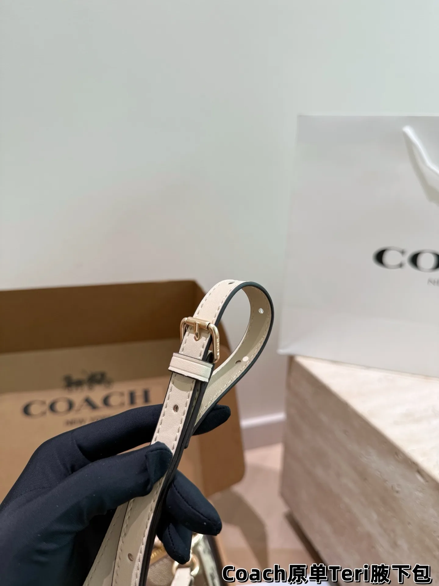 Coach Teri Monogram Shoulder Bag D30018145 — view 4