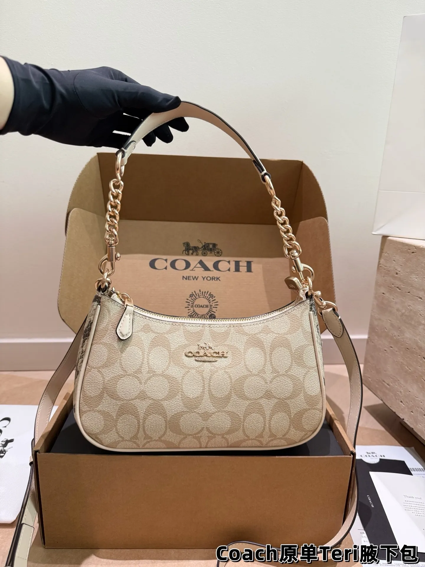 Coach Teri Monogram Shoulder Bag D30018145 — view 10