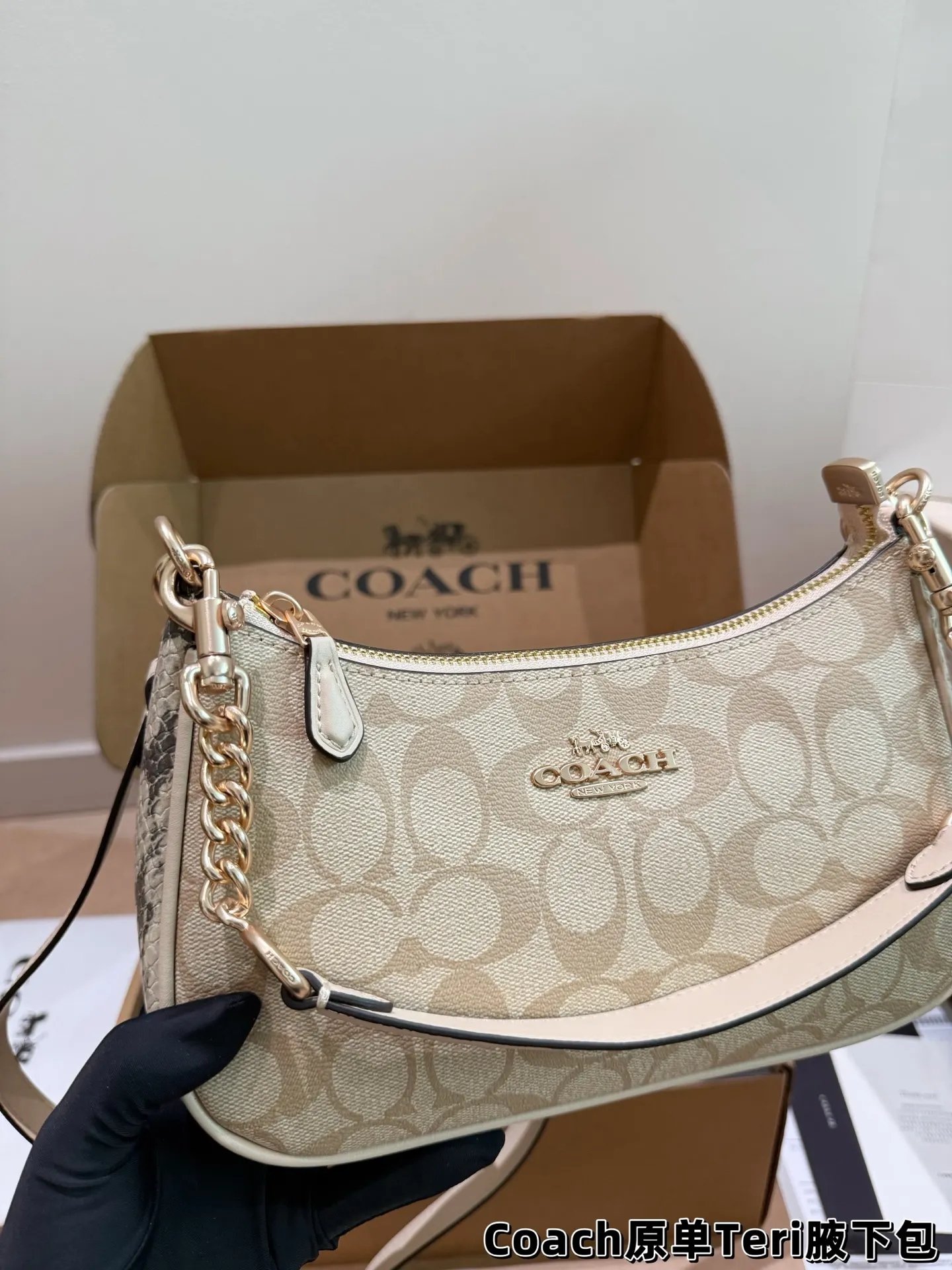 Coach Teri Monogram Shoulder Bag D30018145 — view 13
