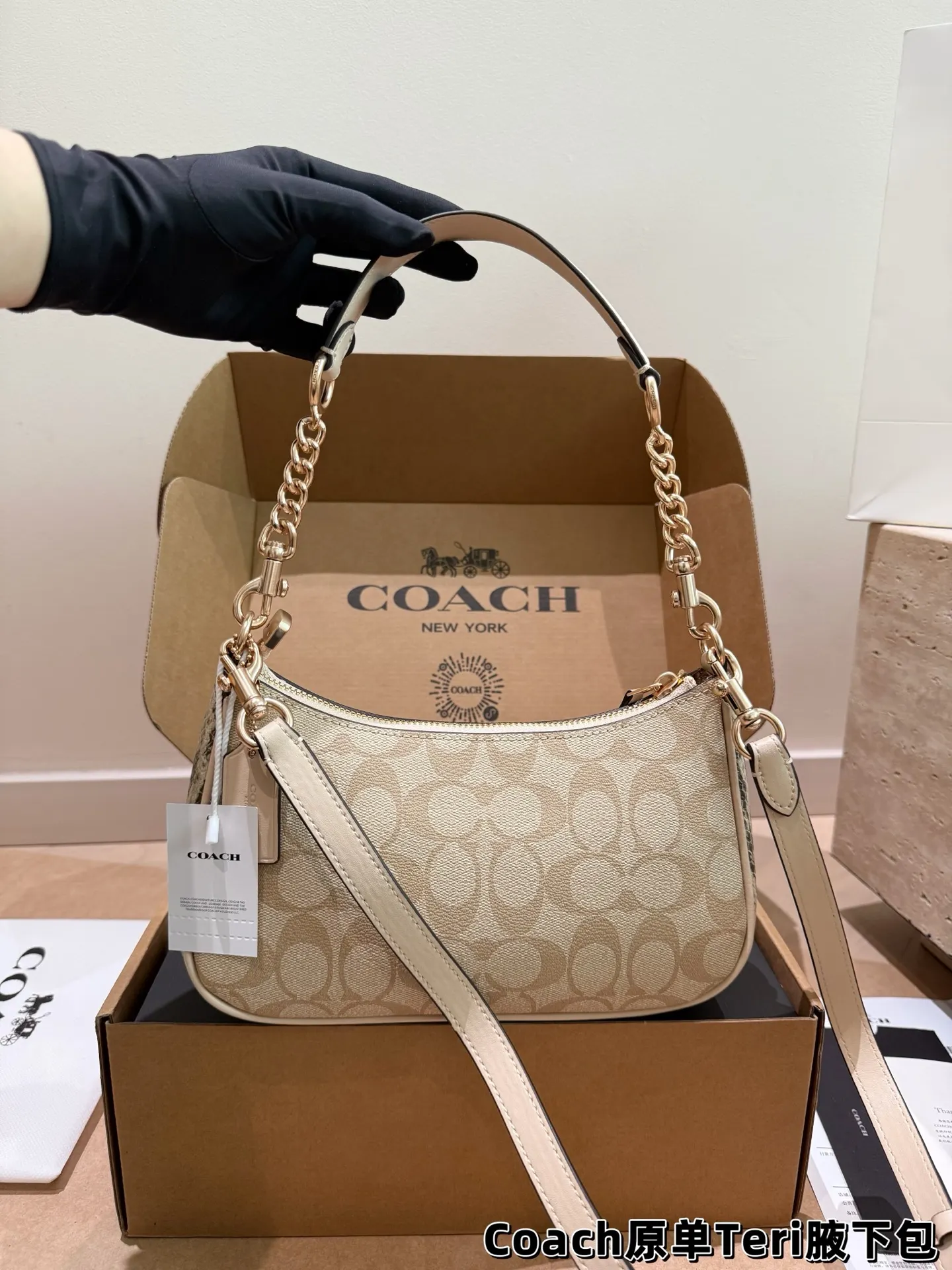Coach Teri Monogram Shoulder Bag D30018145 — view 15
