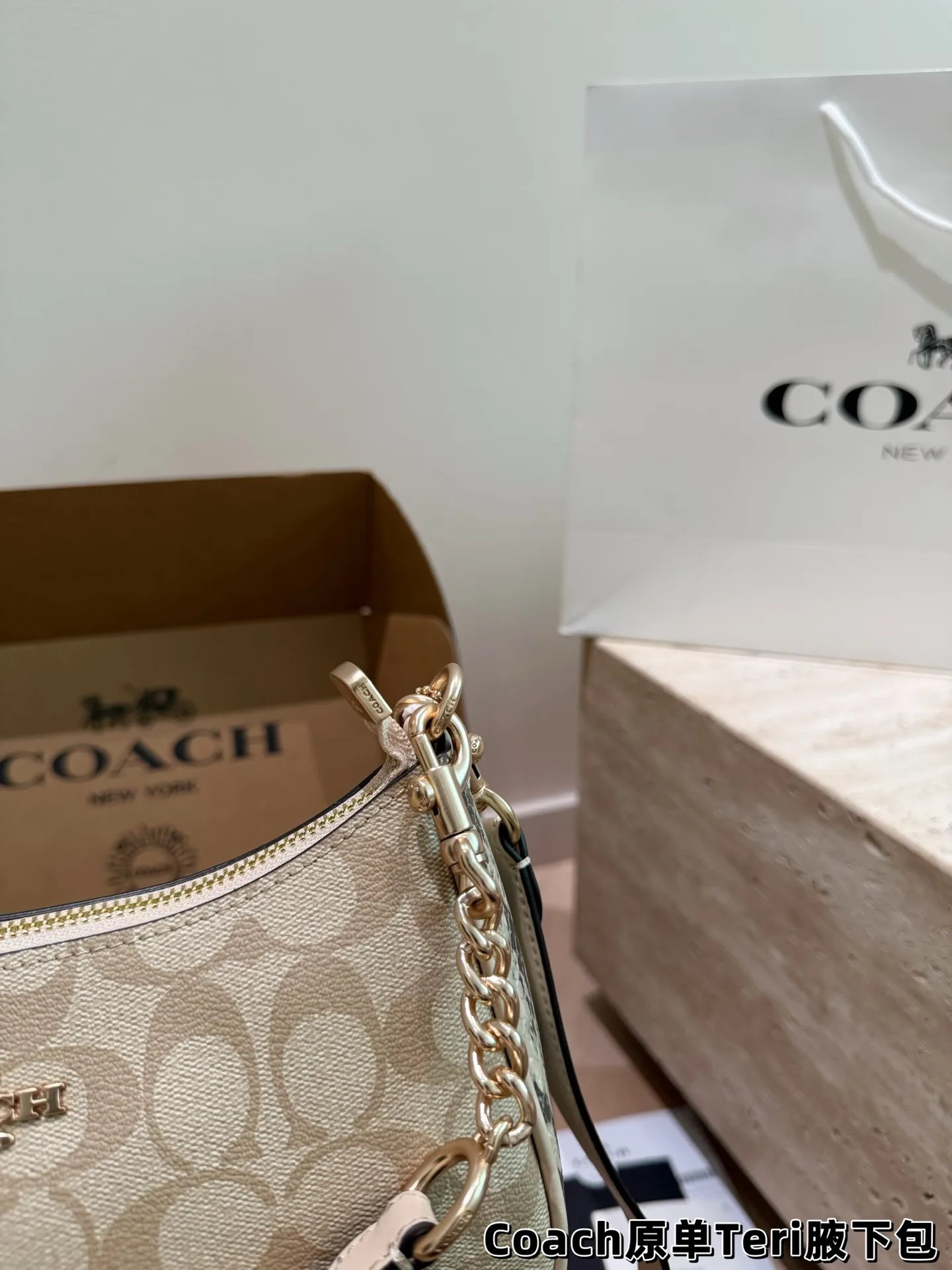 Coach Teri Monogram Shoulder Bag D30018145 — view 17