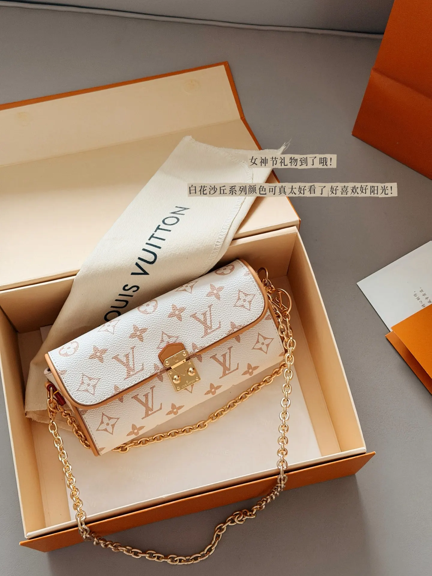 Camille Monogram Chain Bag D30018382