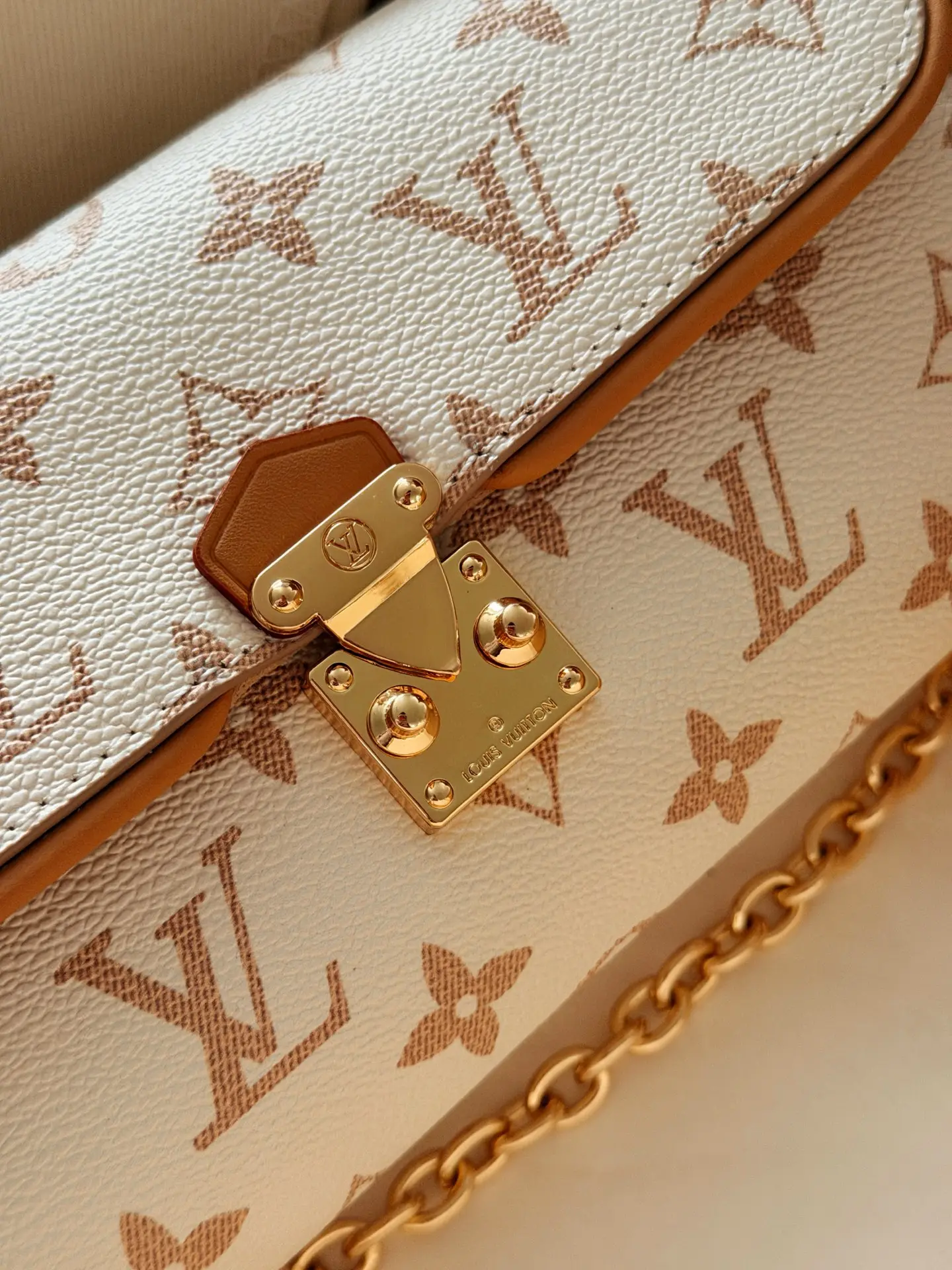 Camille Monogram Chain Bag D30018382 — view 3
