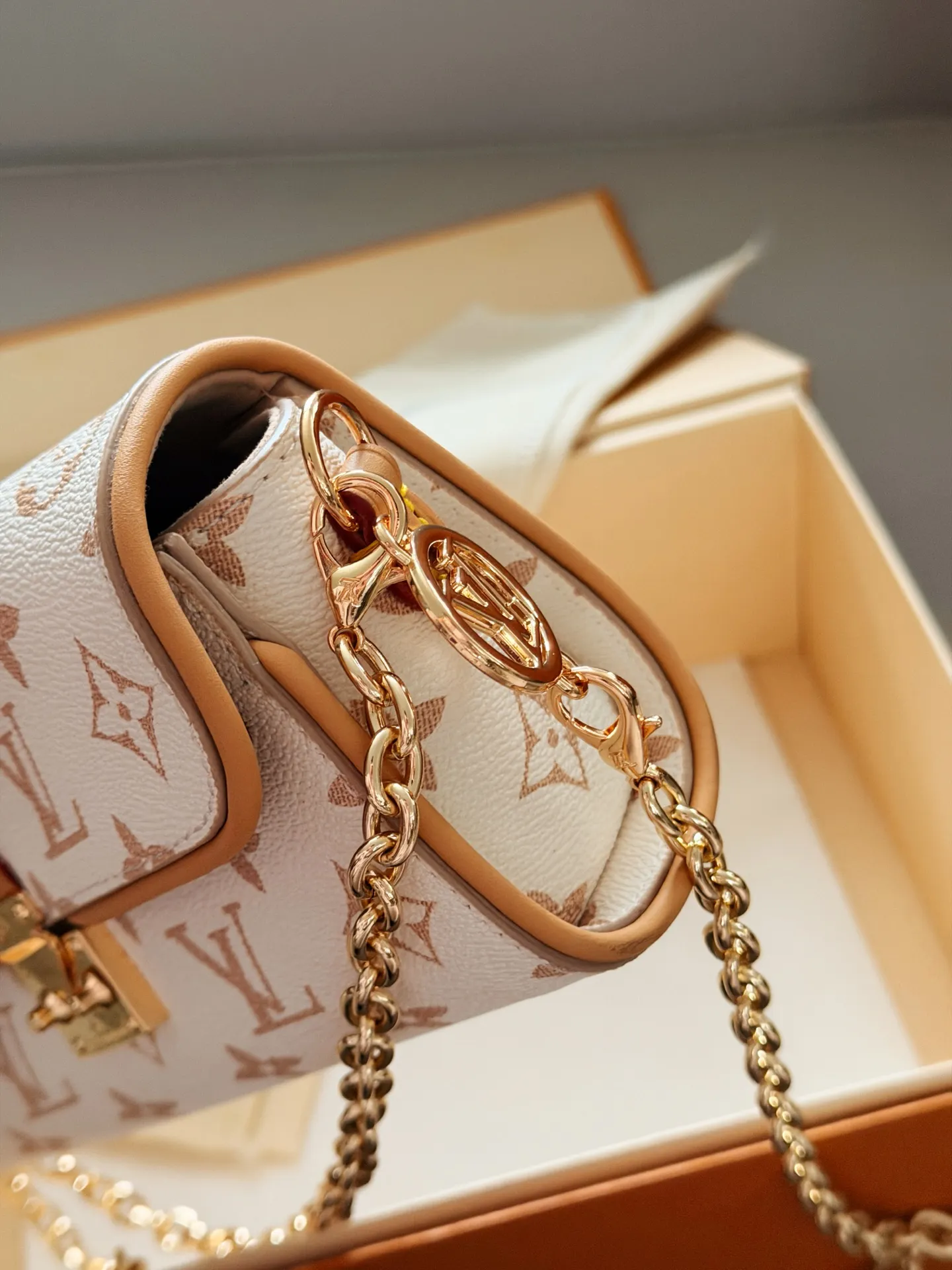 Camille Monogram Chain Bag D30018382 — view 4