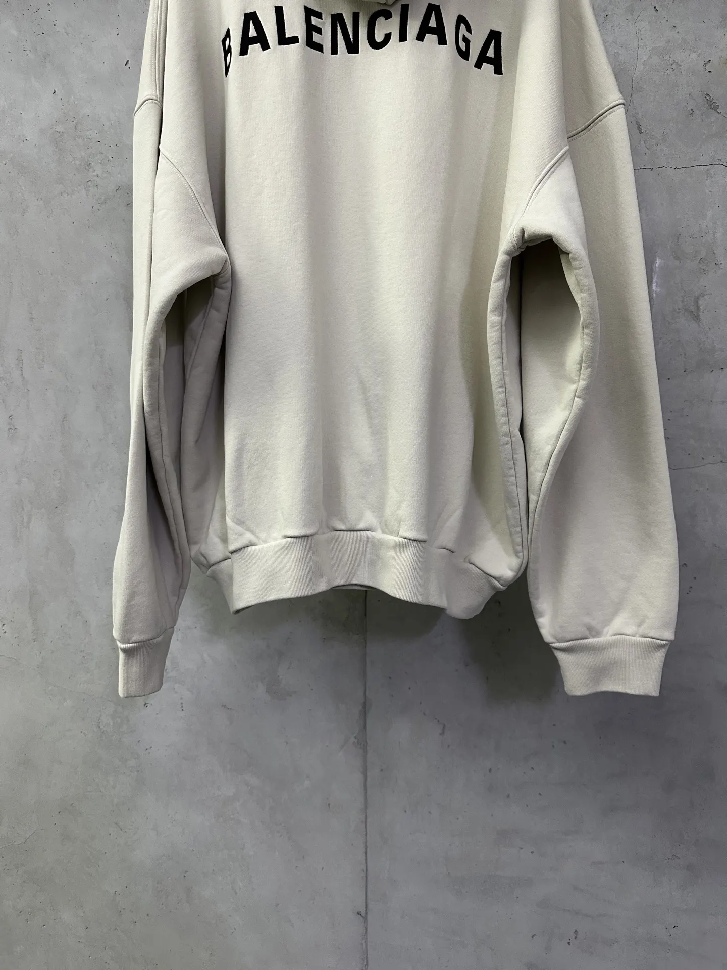 Logo Embroidery Oversized Cotton Hoodie D31018851 — view 6