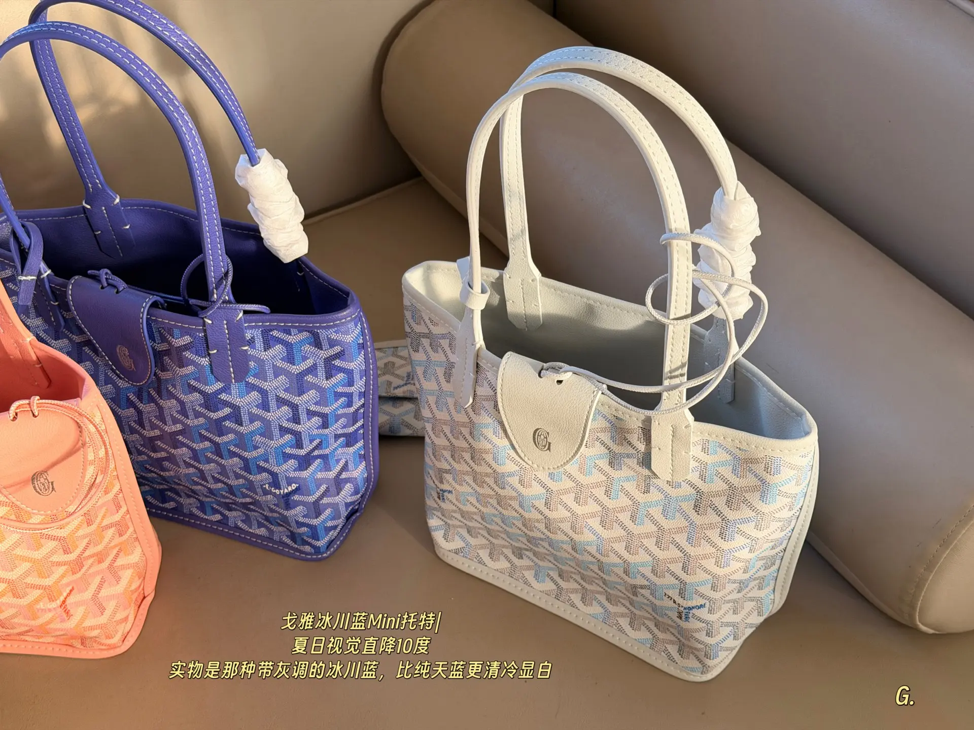 Goyard Mini Reversible Tote Bag D31018437