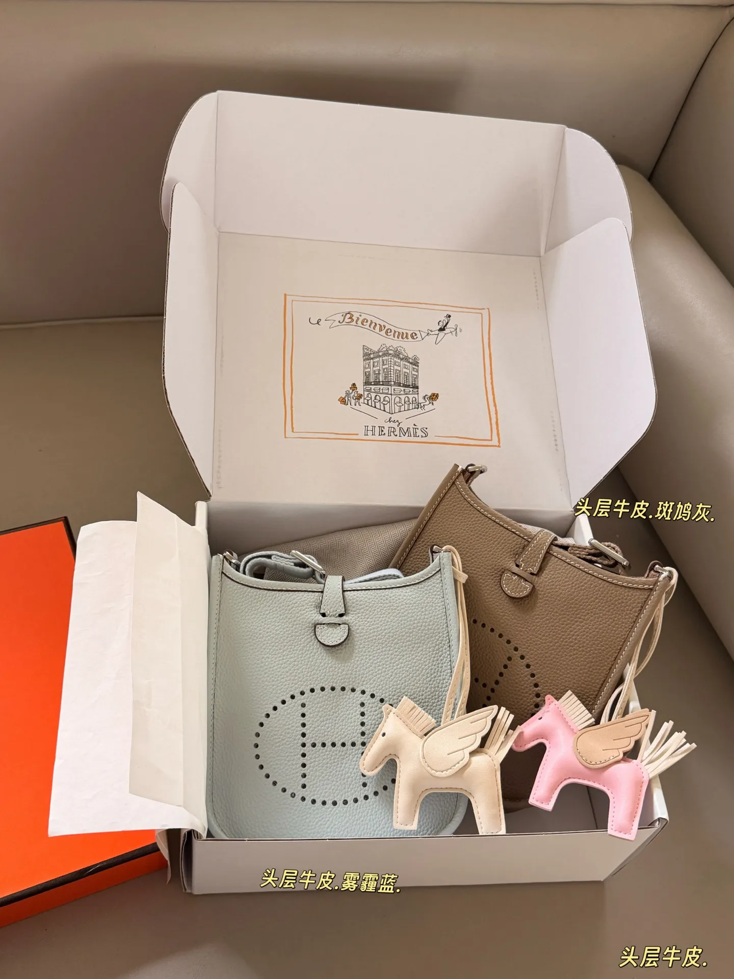 Evelyne Mini Crossbody Bag D31018324 — view 2