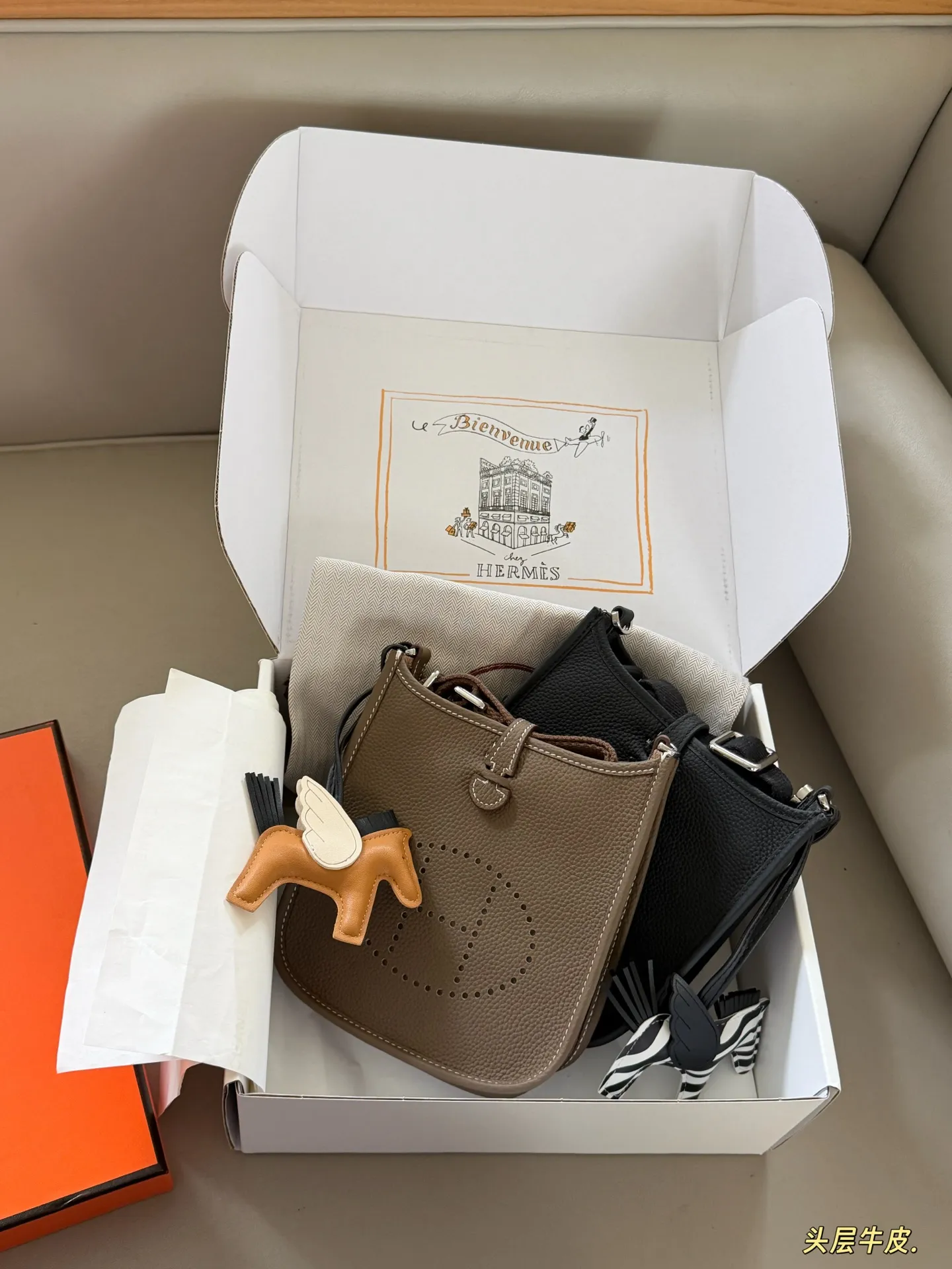 Evelyne Mini Crossbody Bag D31018324 — view 3