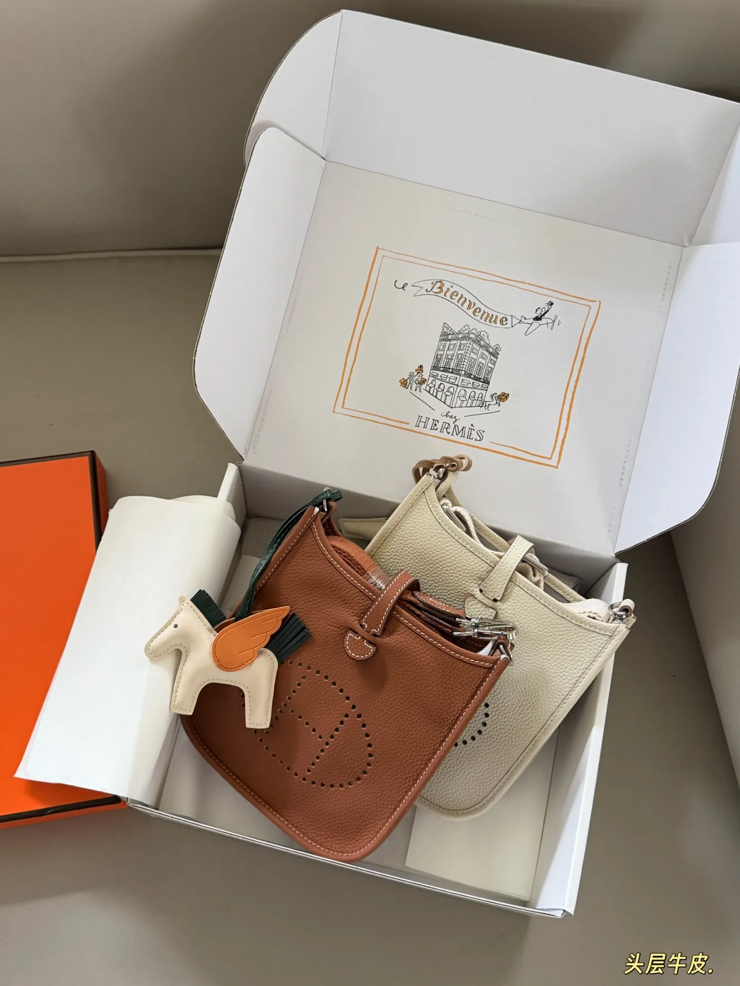 Evelyne Mini Crossbody Bag D31018324 — view 4