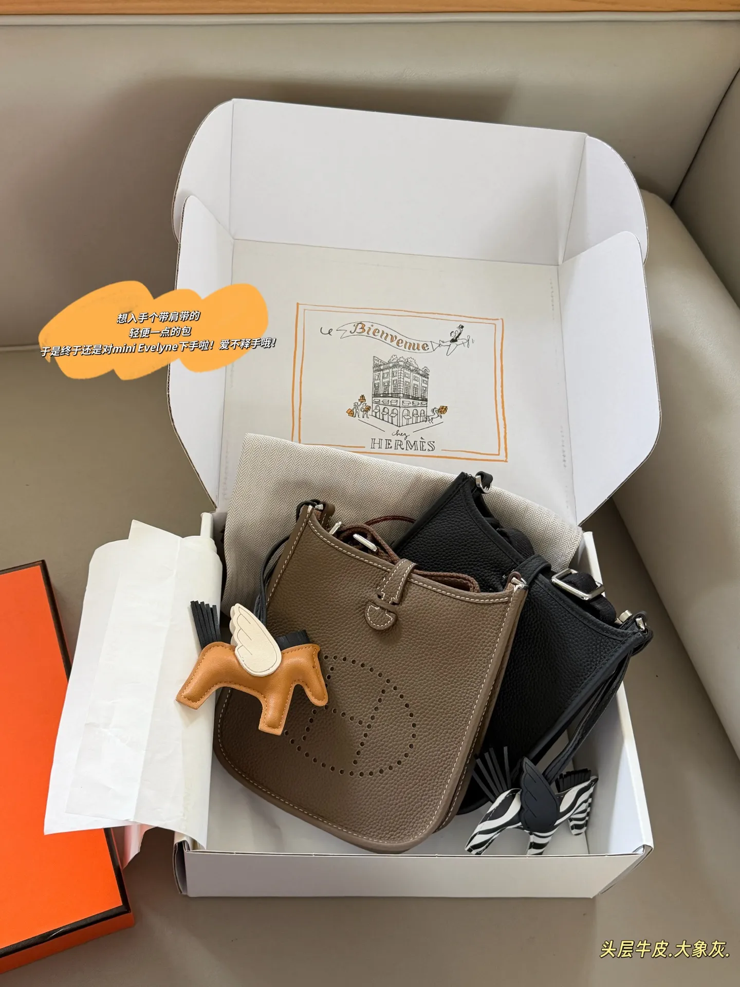 Evelyne Mini Crossbody Bag D31018322 — view 10