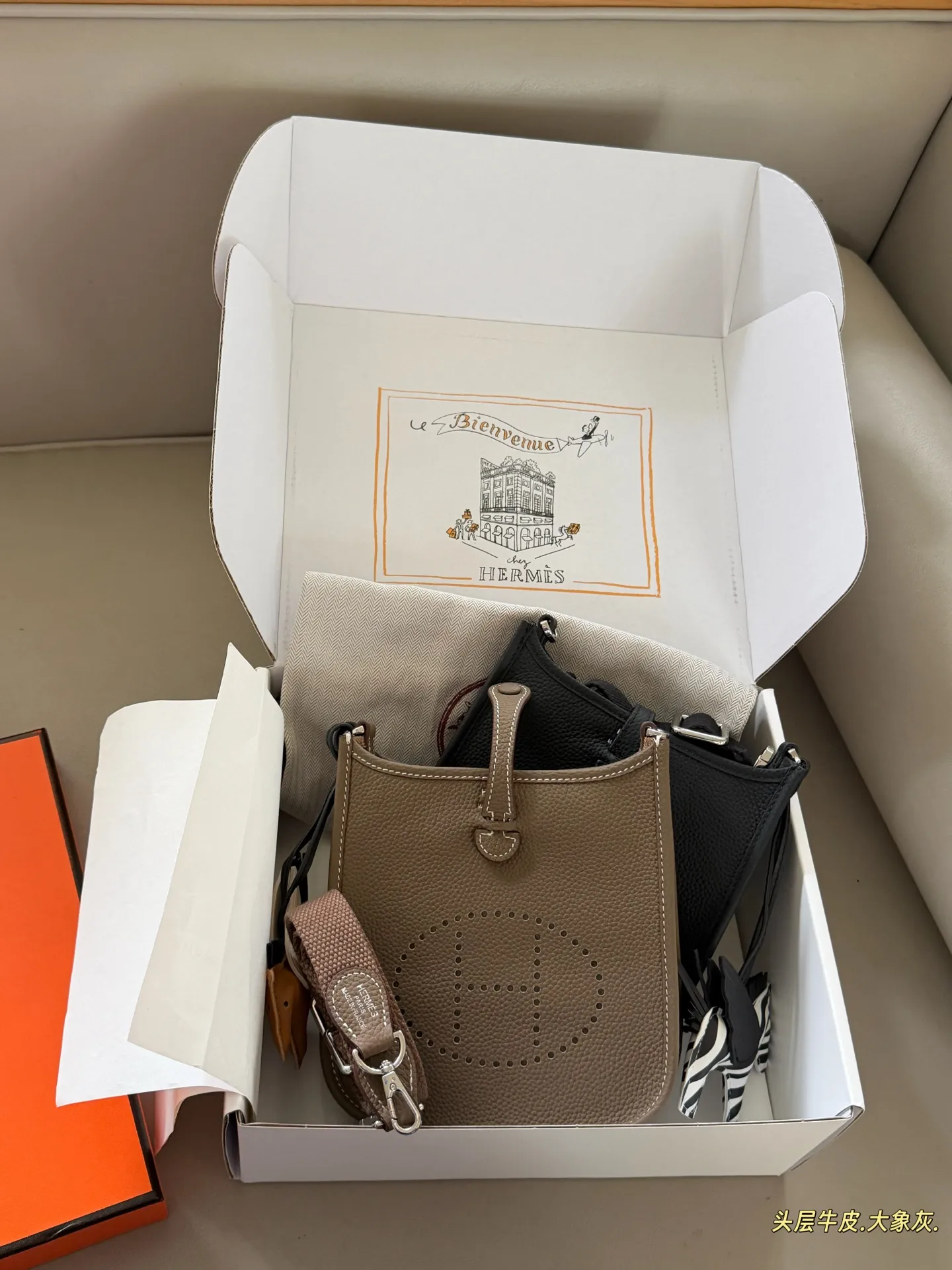 Evelyne Mini Crossbody Bag D31018322 — view 11