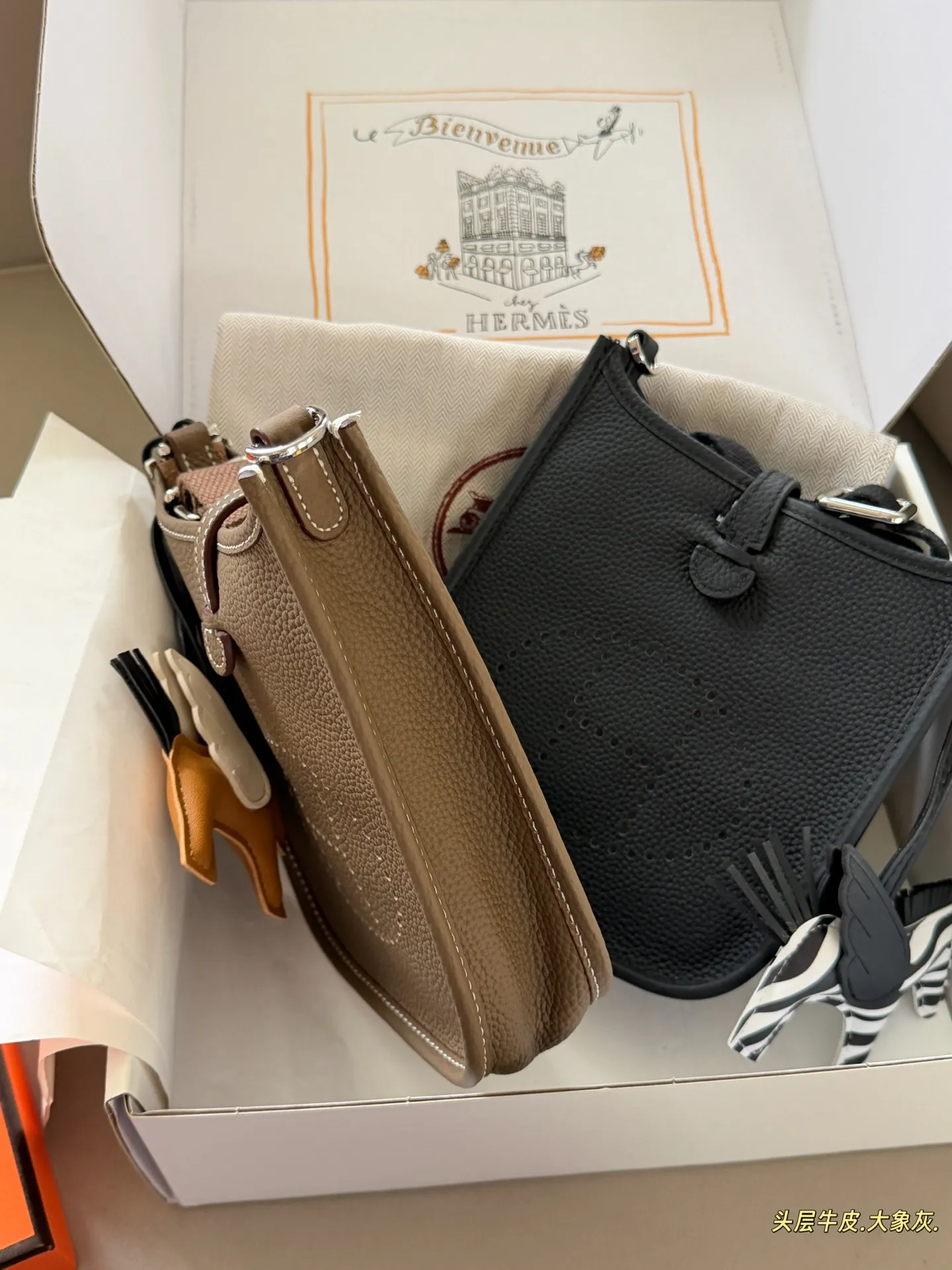 Evelyne Mini Crossbody Bag D31018322 — view 14