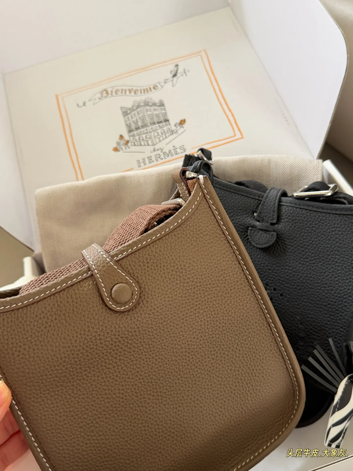 Evelyne Mini Crossbody Bag D31018322 — view 15
