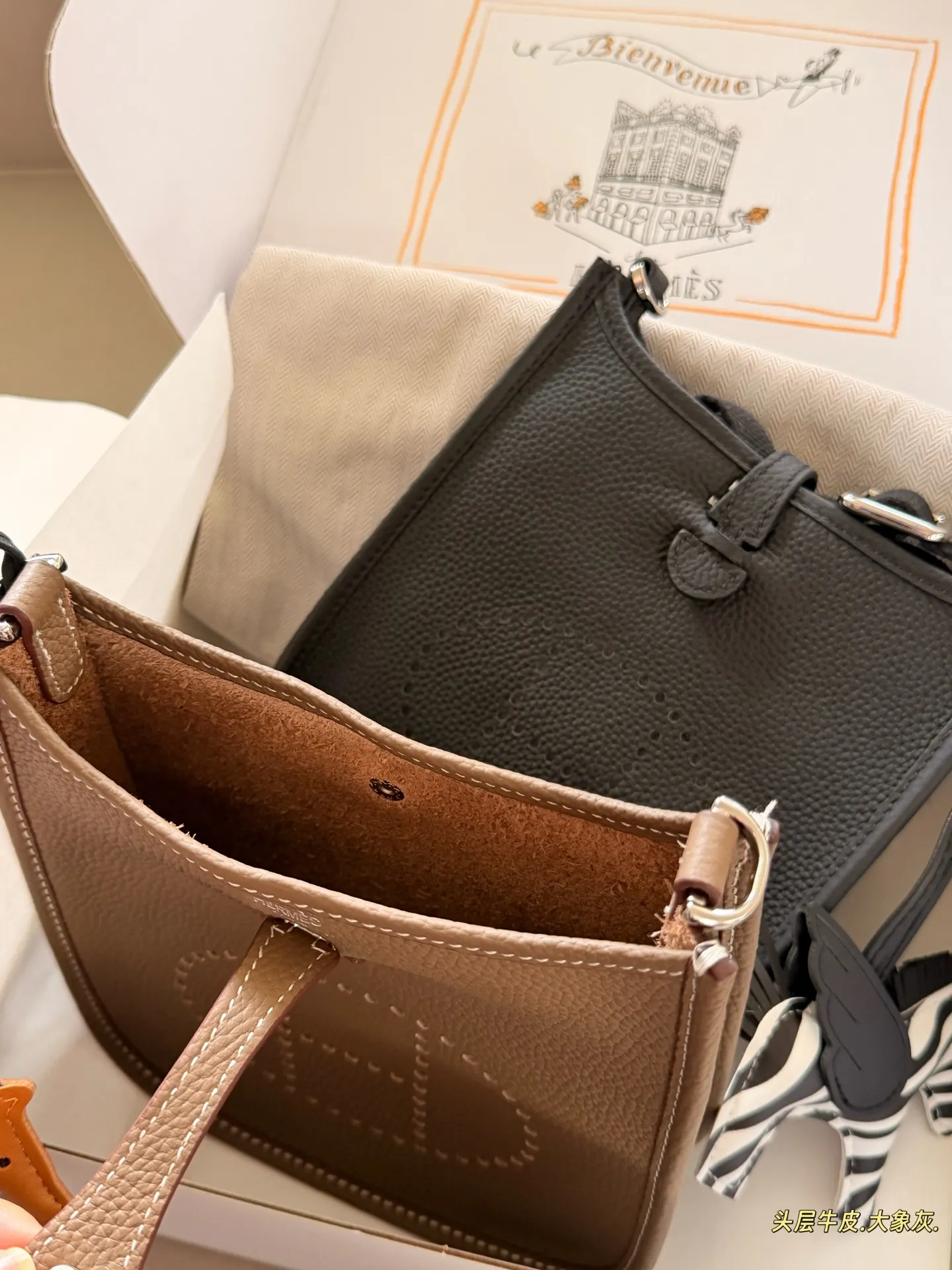 Evelyne Mini Crossbody Bag D31018322 — view 18