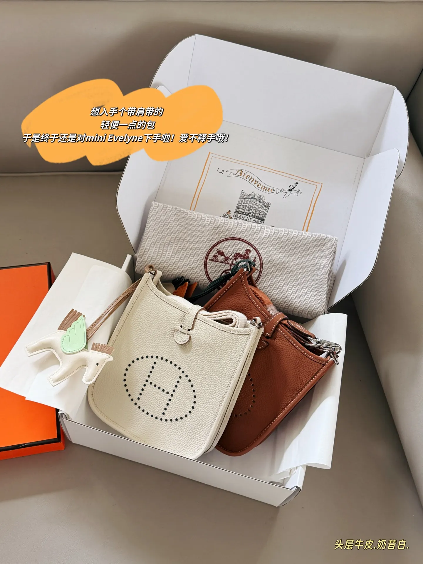 Evelyne Mini Crossbody Bag D31018322