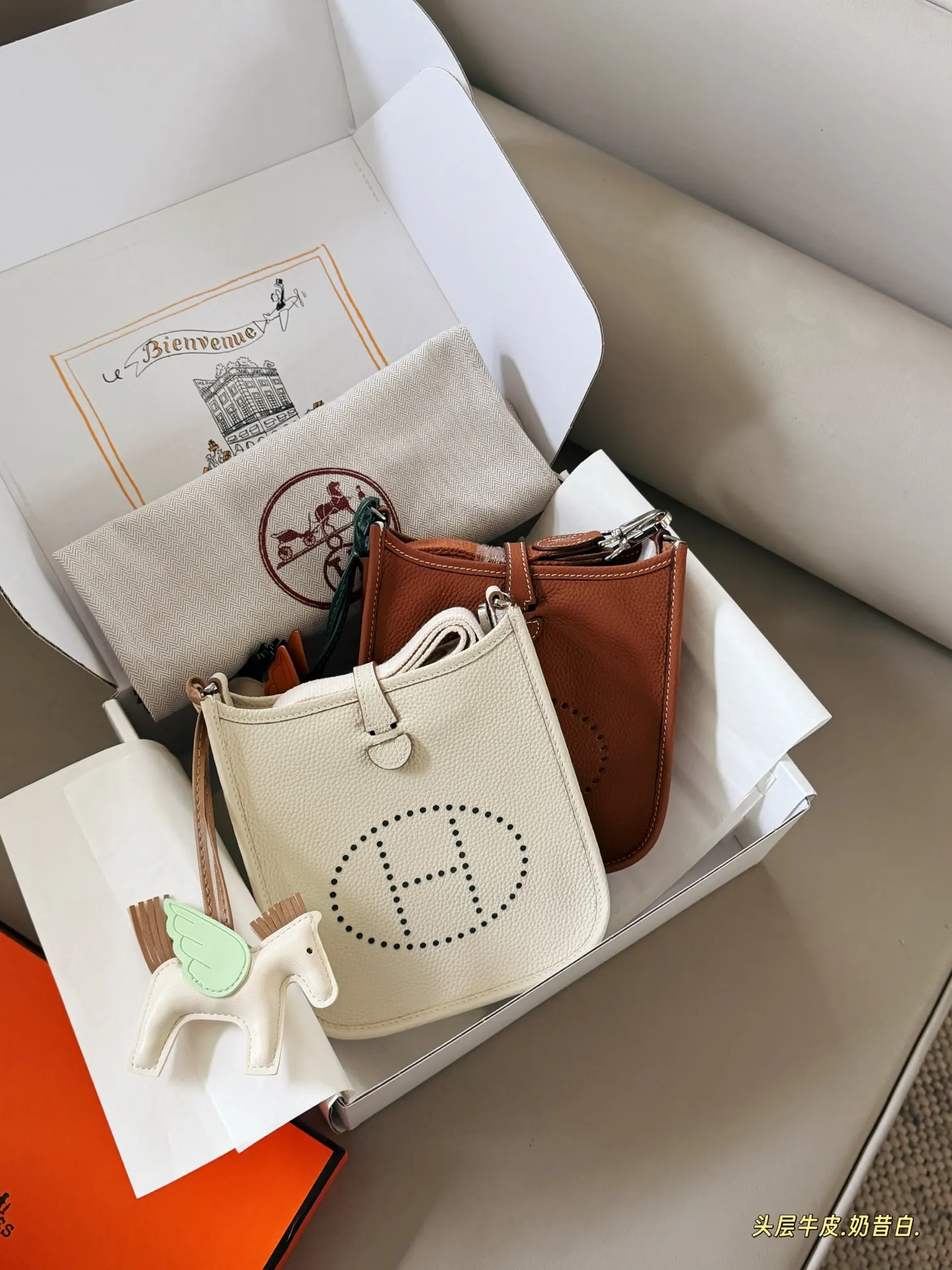 Evelyne Mini Crossbody Bag D31018322 — view 2