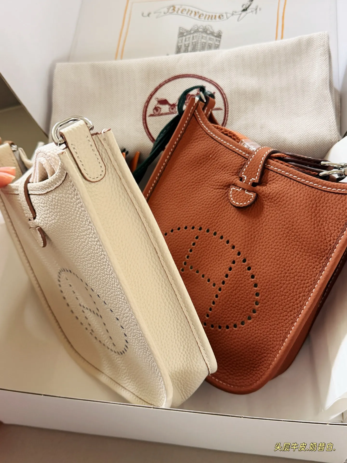 Evelyne Mini Crossbody Bag D31018322 — view 5