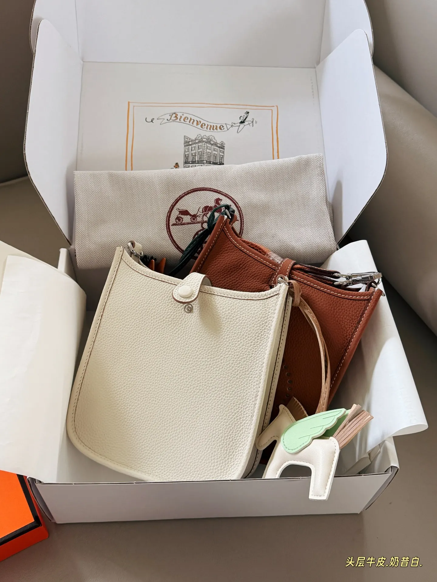 Evelyne Mini Crossbody Bag D31018322 — view 6