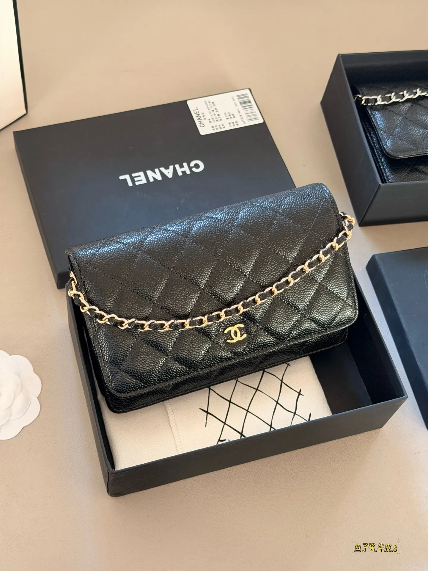 Quilted Caviar Leather Wallet on Chain D31018161 — view 2