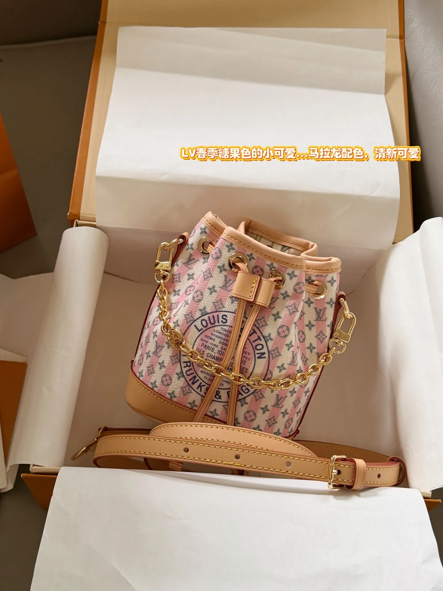 Monogram Canvas Bucket Bag D31018315