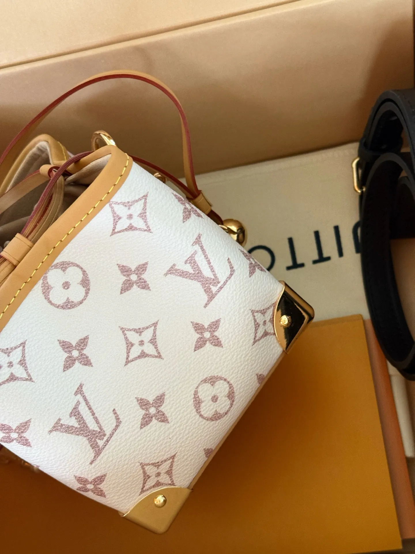 Mini Monogram Bucket Bag D31018384 — view 4