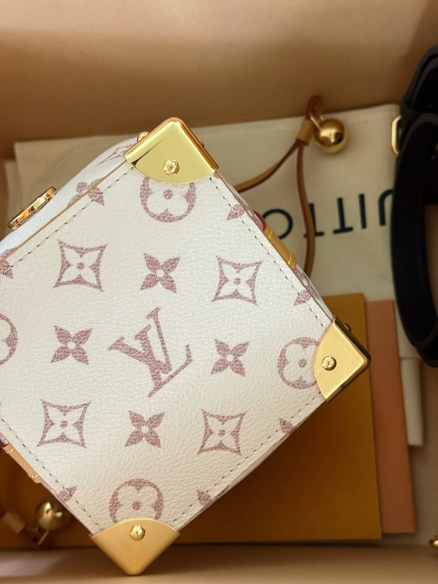 Mini Monogram Bucket Bag D31018384 — view 9
