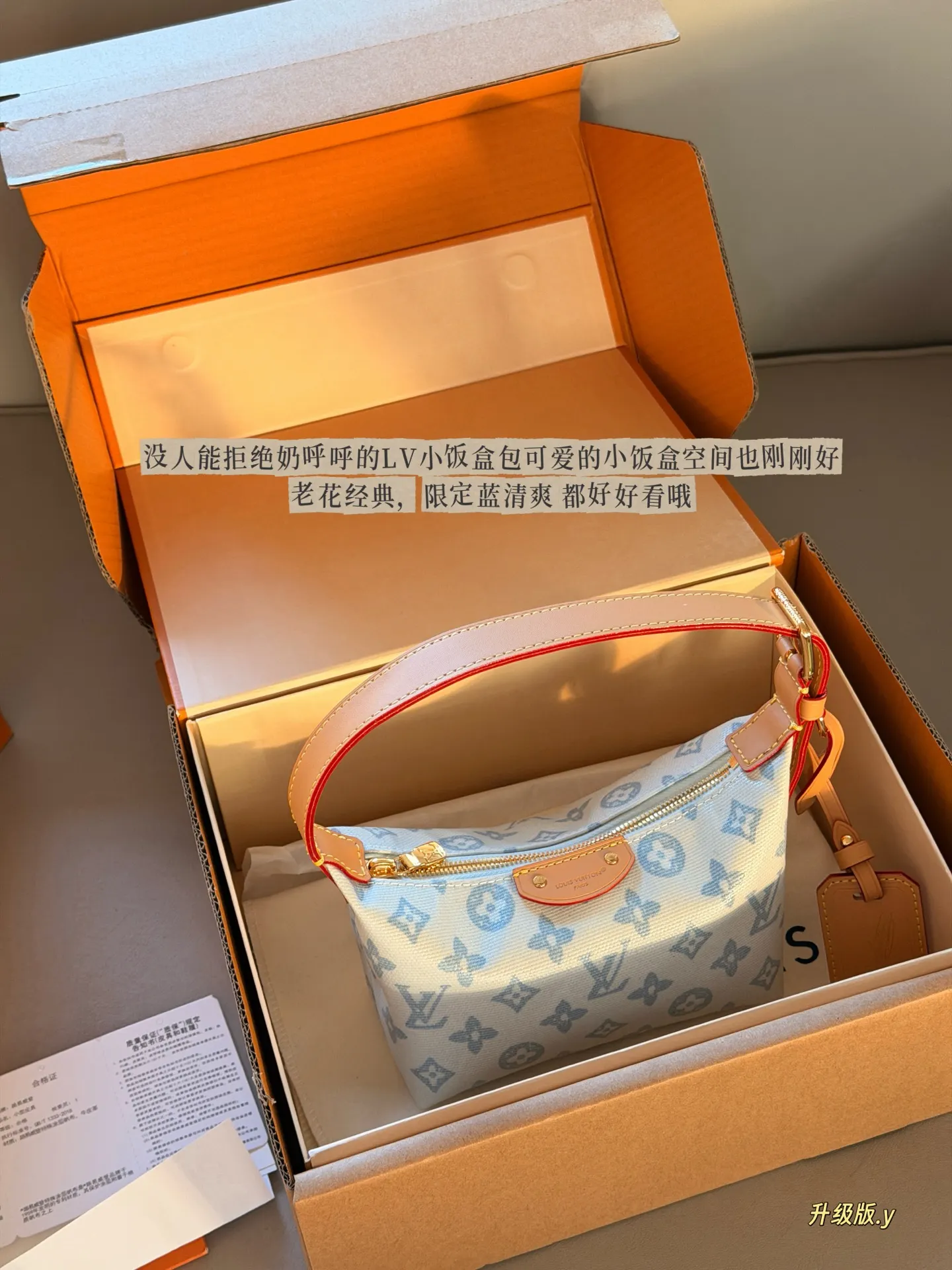 Monogram Canvas Lunchbox Bag D32018140