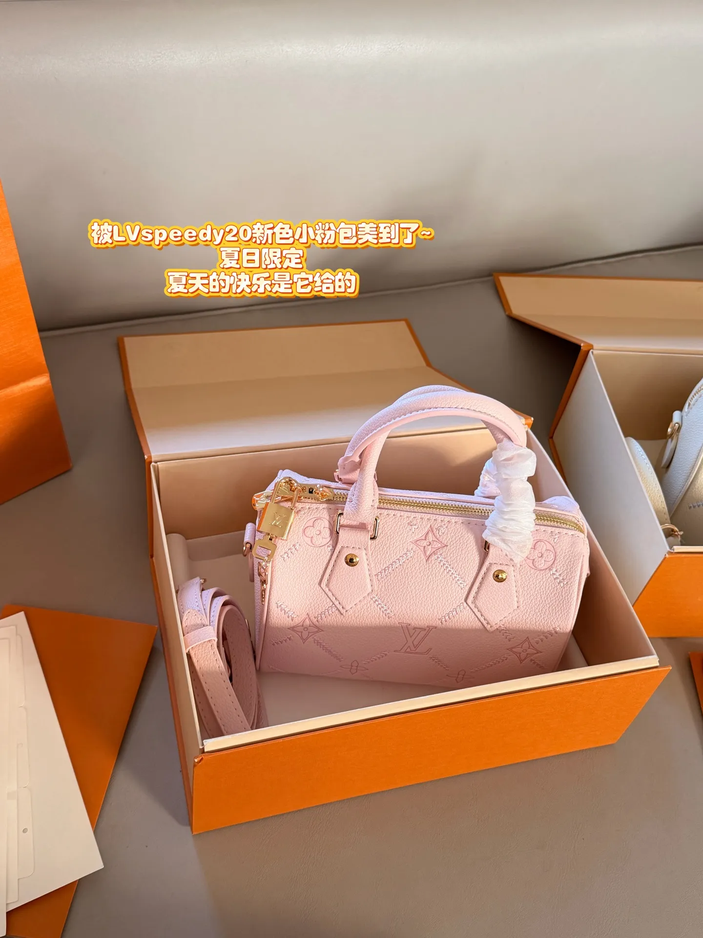 Speedy 20 Mini Embossed Top-Handle Bag D32018070