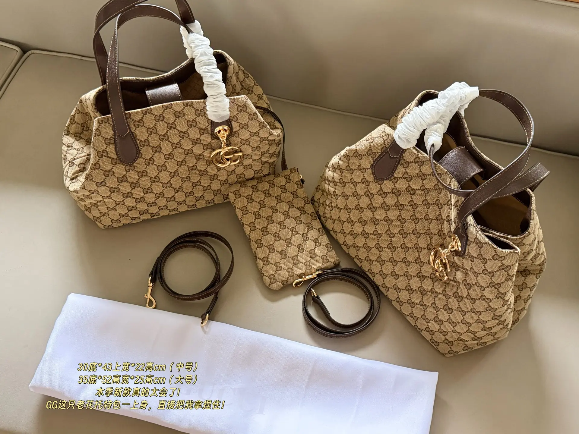GG Monogram Canvas Tote Bag D33018065 — view 10