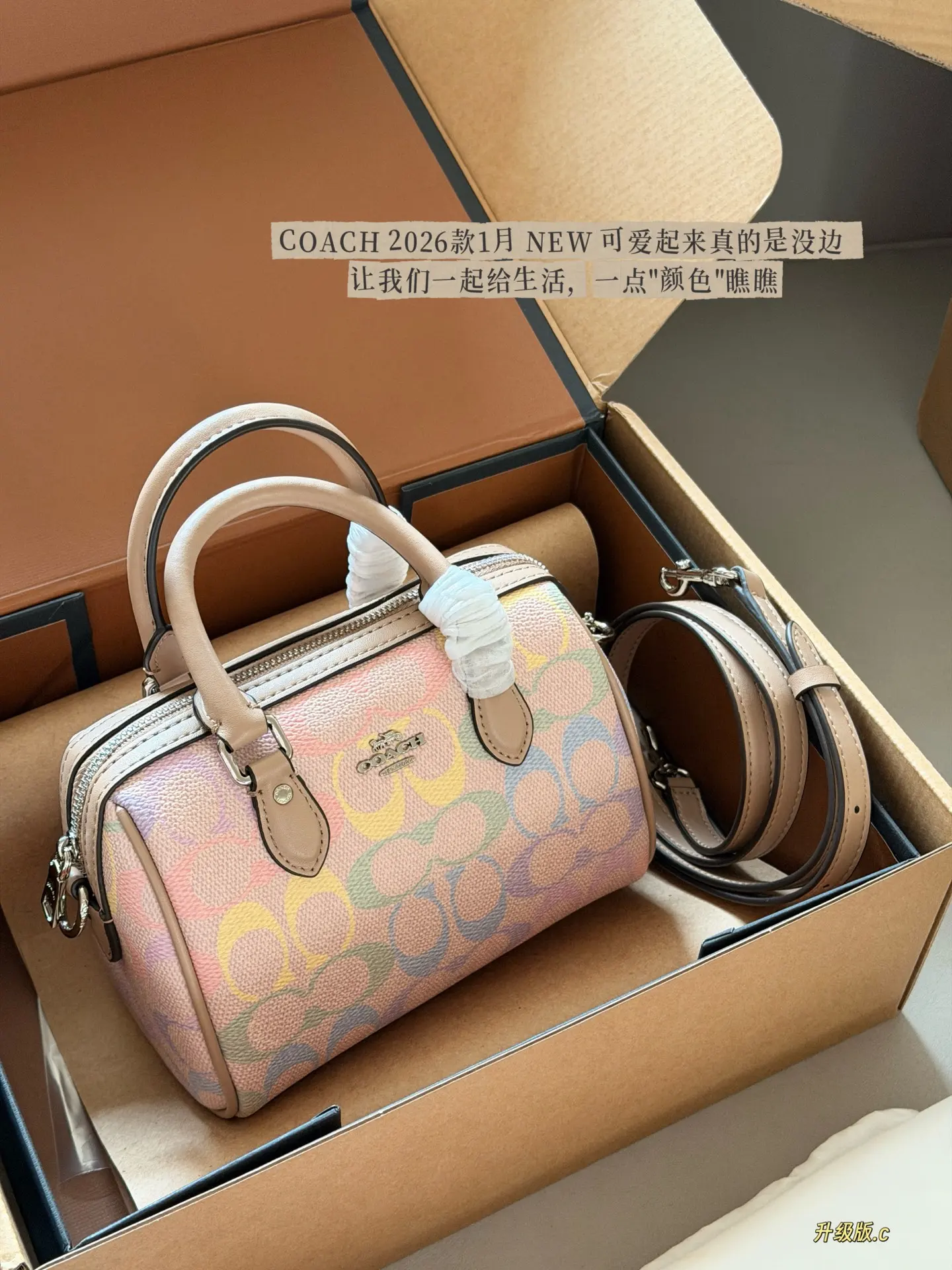 Mini Rowan Satchel in Rainbow Signature Canvas D33518439