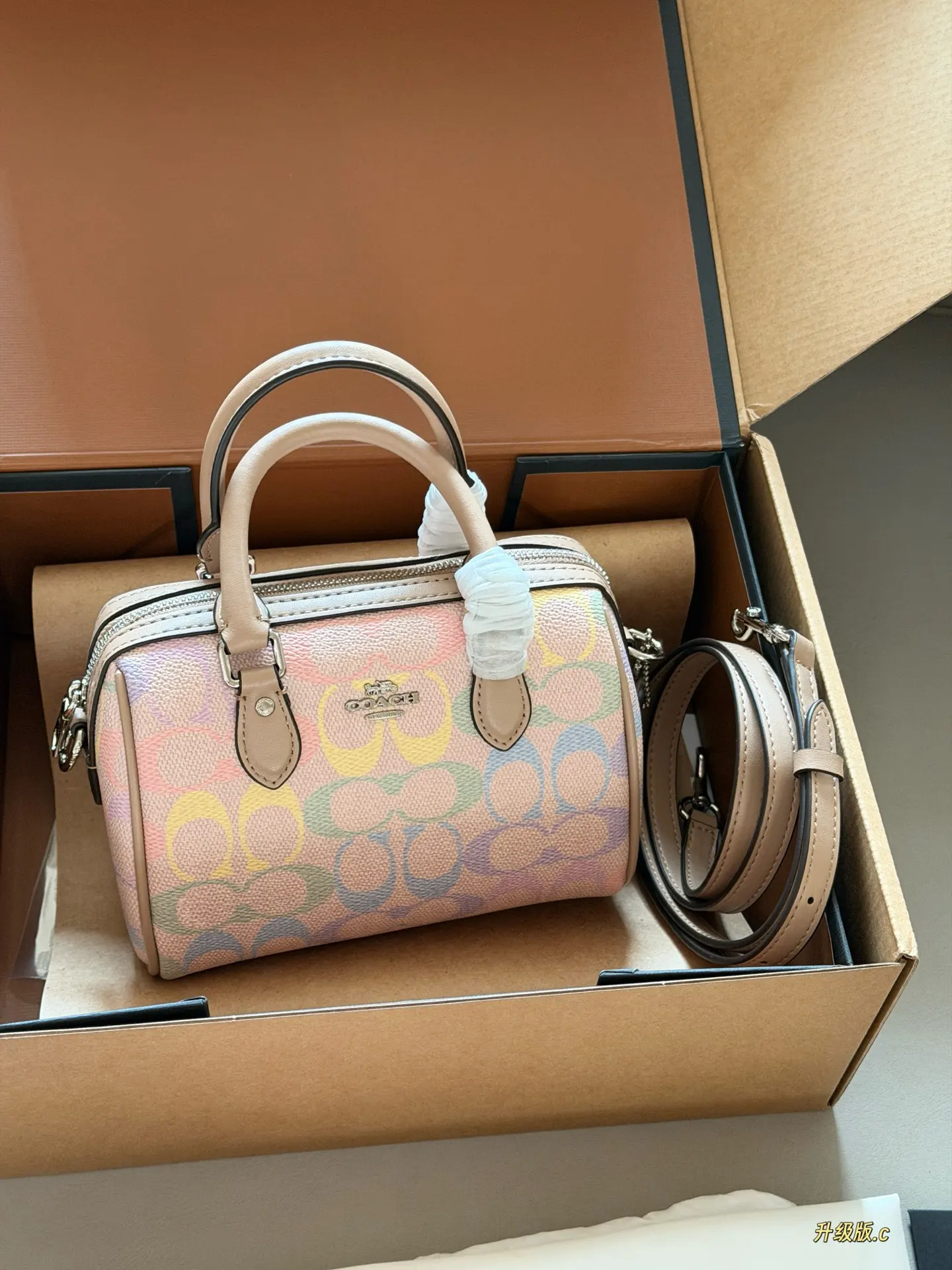 Mini Rowan Satchel in Rainbow Signature Canvas D33518439 — view 2