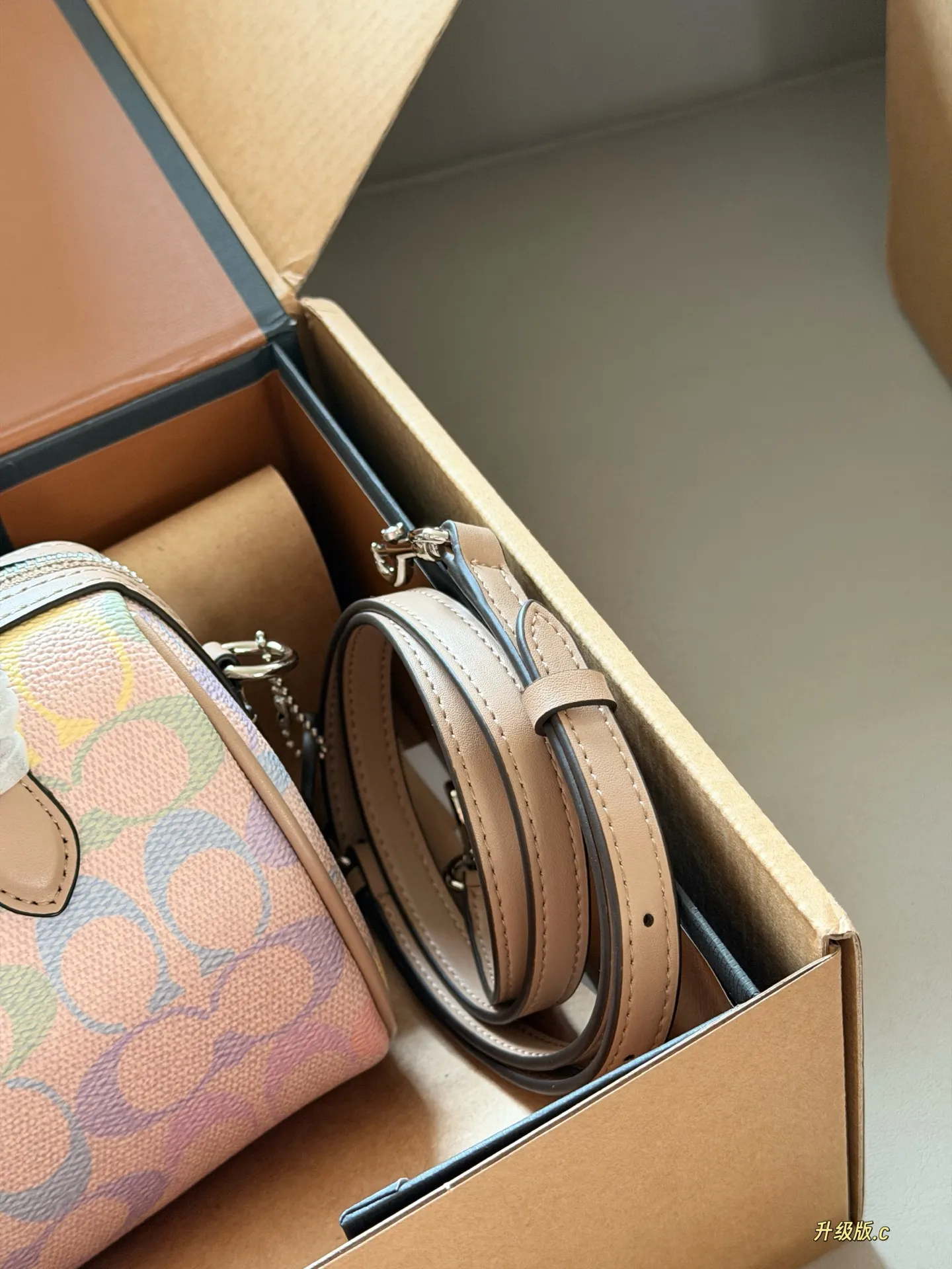 Mini Rowan Satchel in Rainbow Signature Canvas D33518439 — view 4