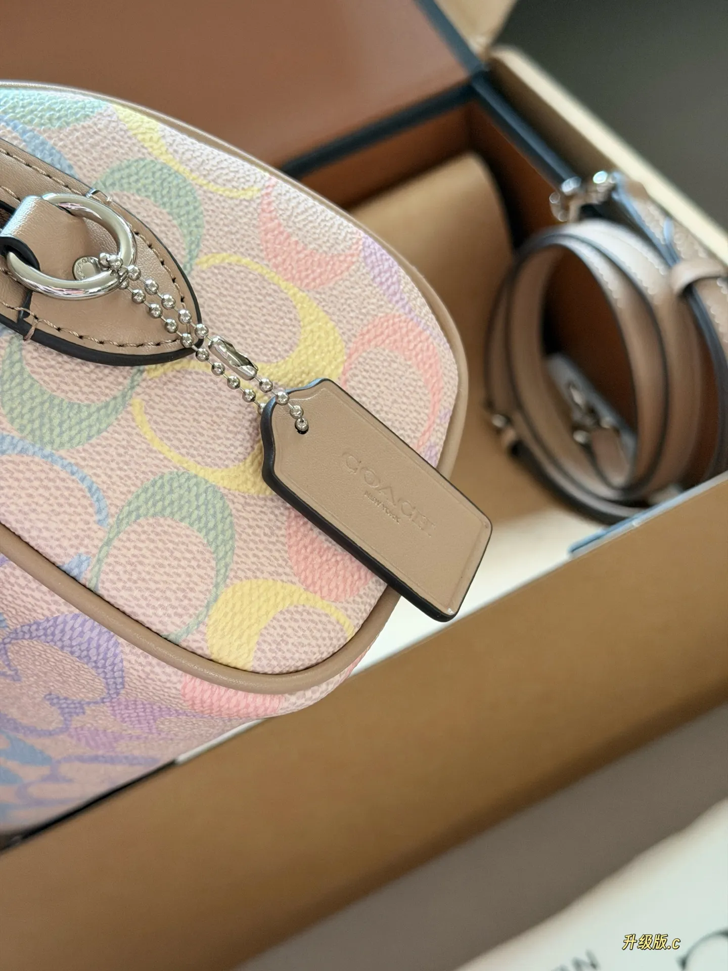 Mini Rowan Satchel in Rainbow Signature Canvas D33518439 — view 5