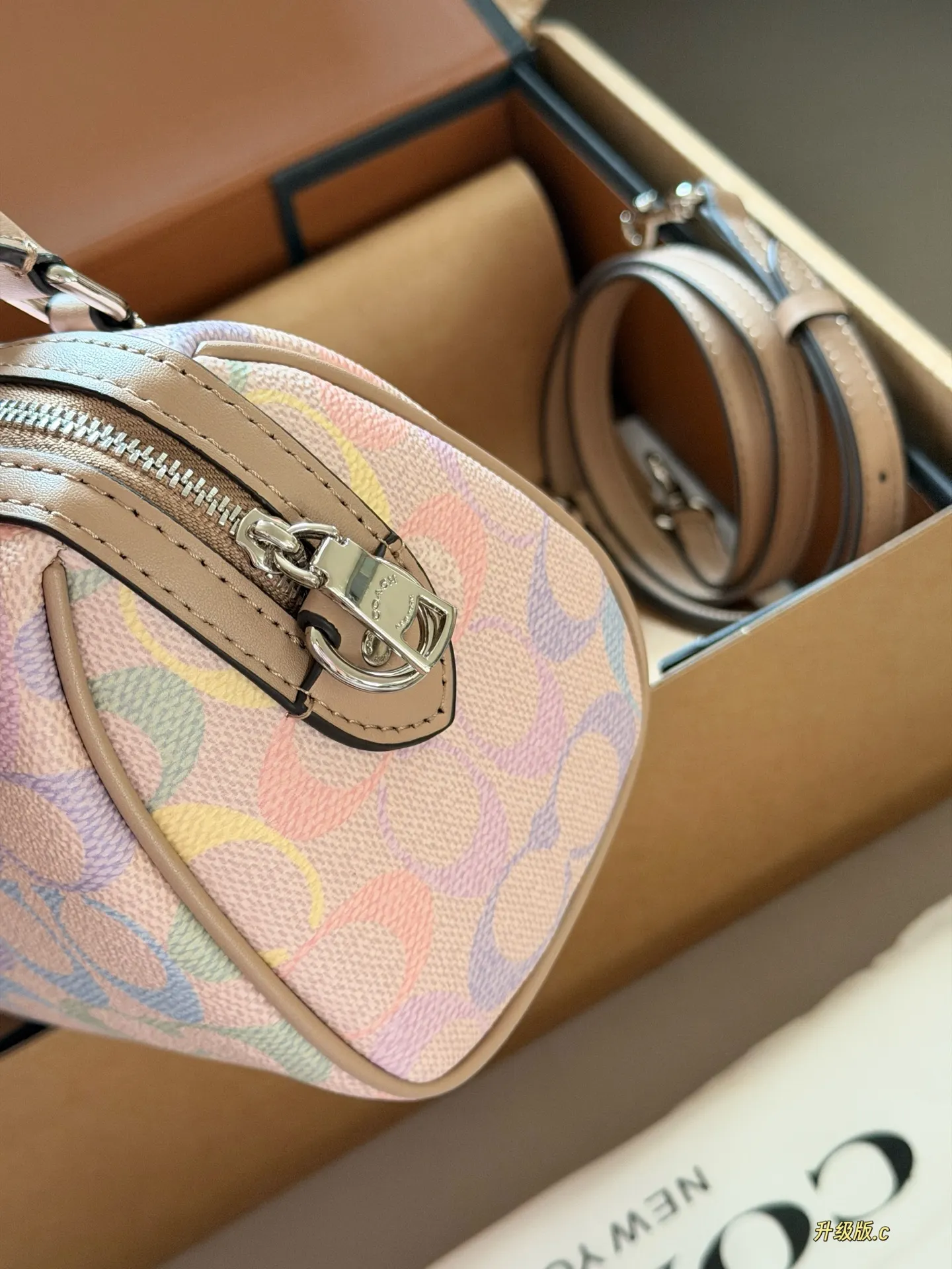 Mini Rowan Satchel in Rainbow Signature Canvas D33518439 — view 6