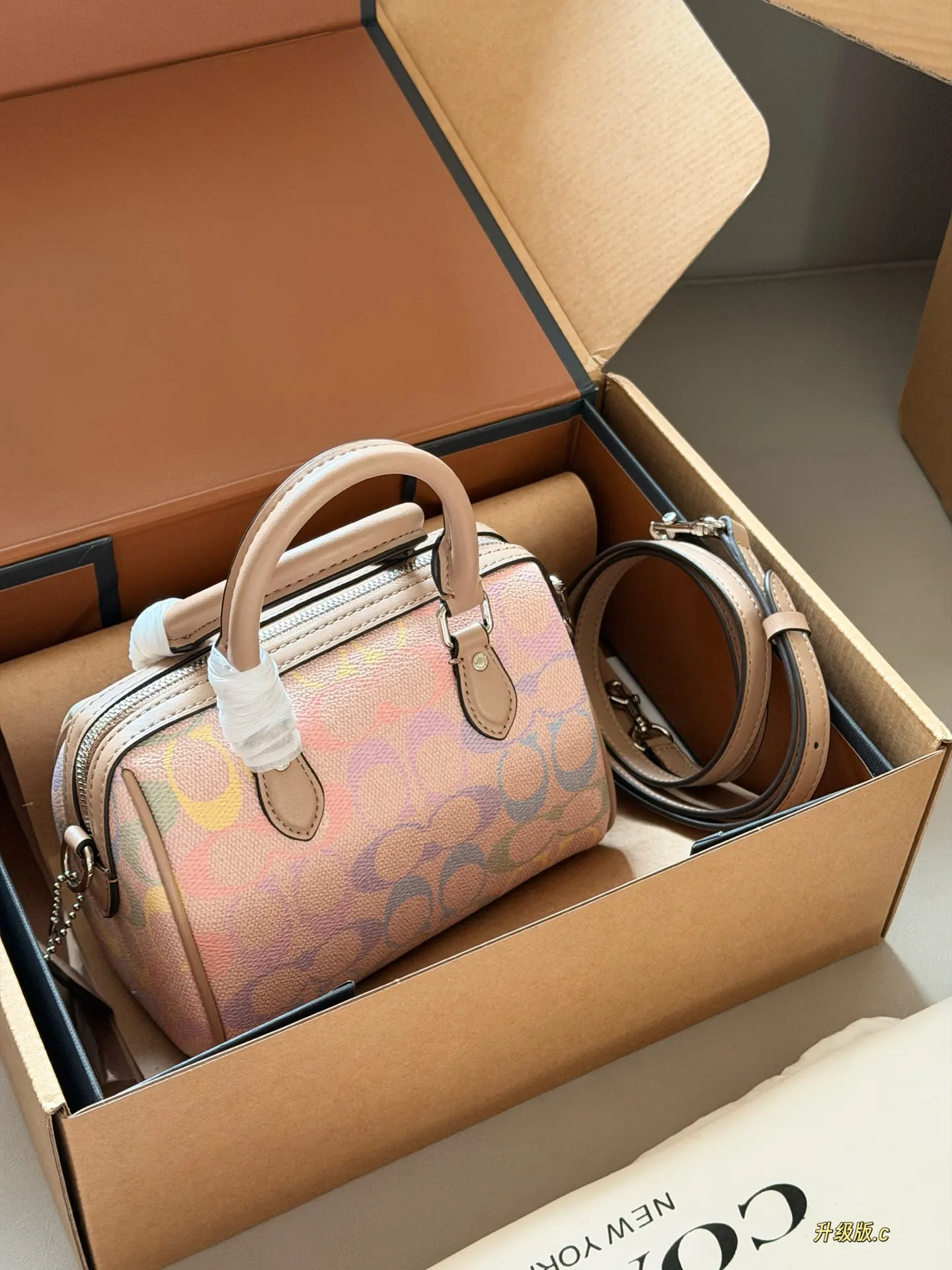 Mini Rowan Satchel in Rainbow Signature Canvas D33518439 — view 7