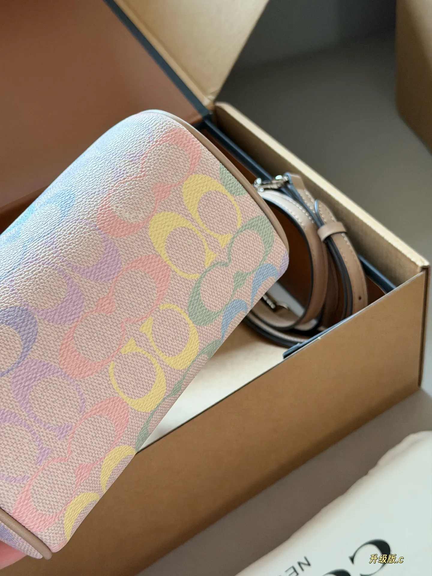 Mini Rowan Satchel in Rainbow Signature Canvas D33518439 — view 8