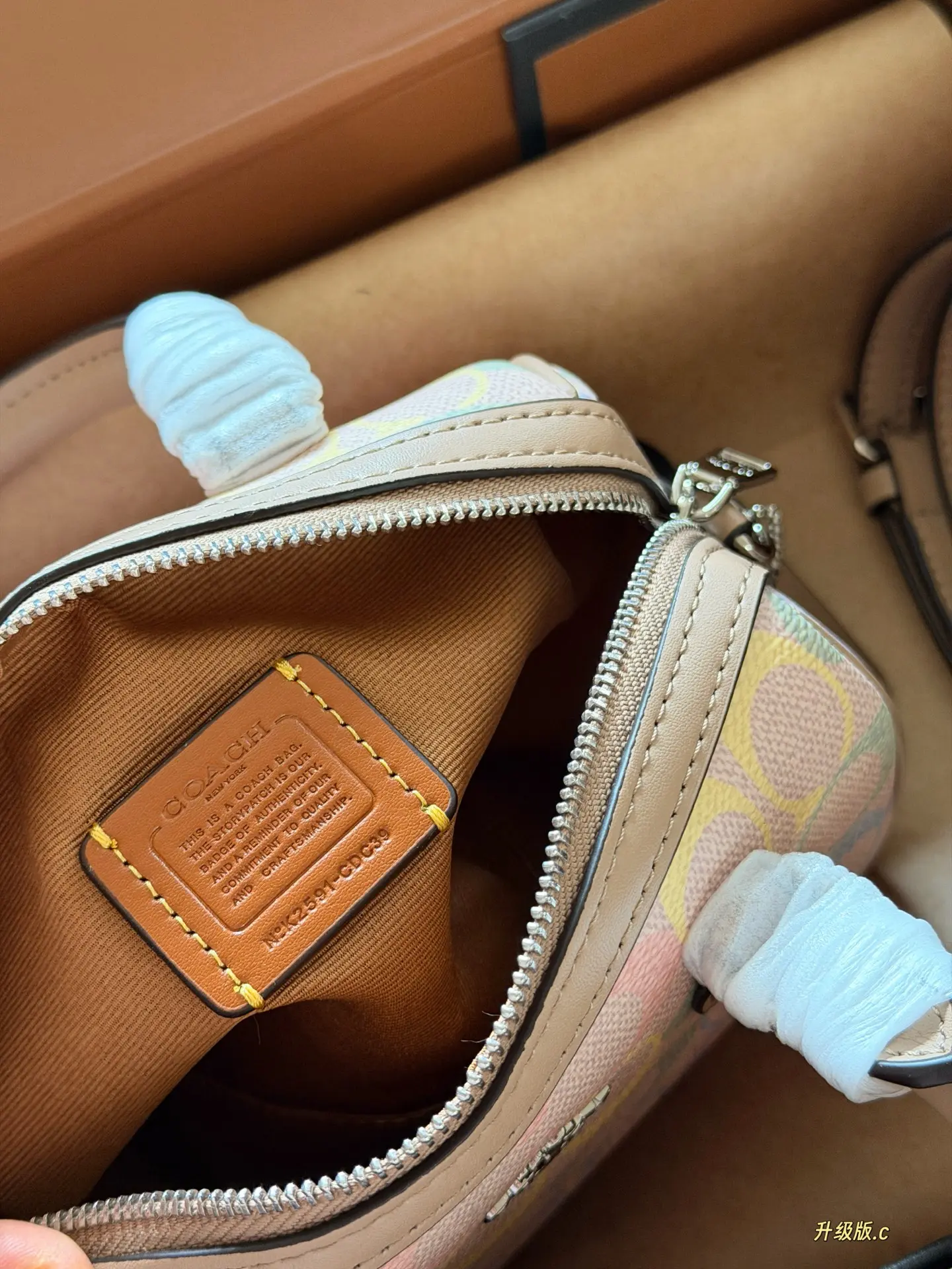 Mini Rowan Satchel in Rainbow Signature Canvas D33518439 — view 9