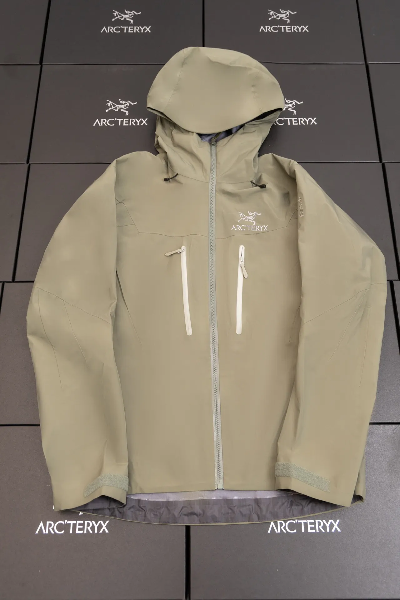 Alpha SV GORE-TEX Hooded Shell Jacket D34019490