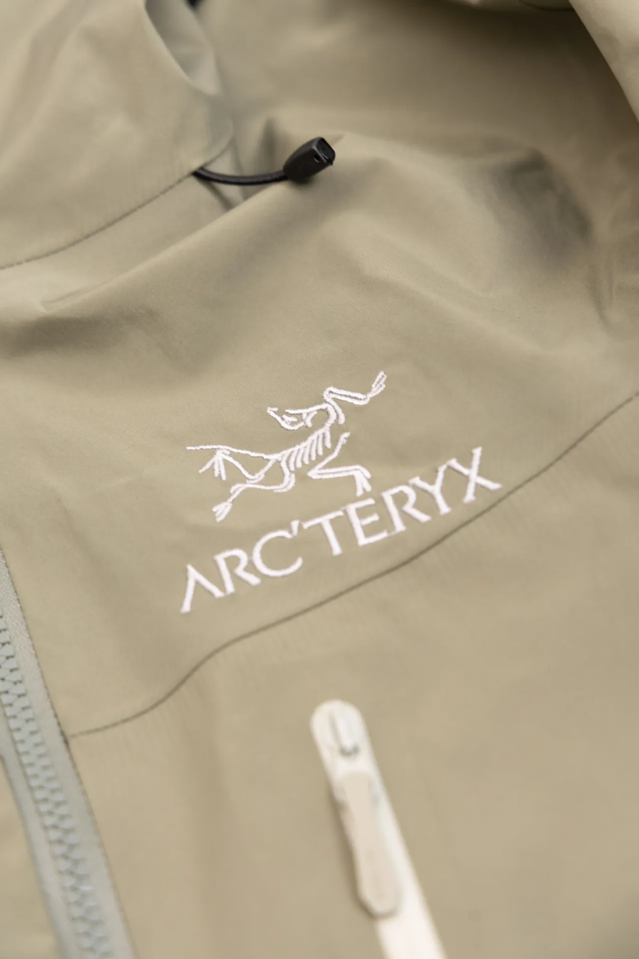 Alpha SV GORE-TEX Hooded Shell Jacket D34019490 — view 3
