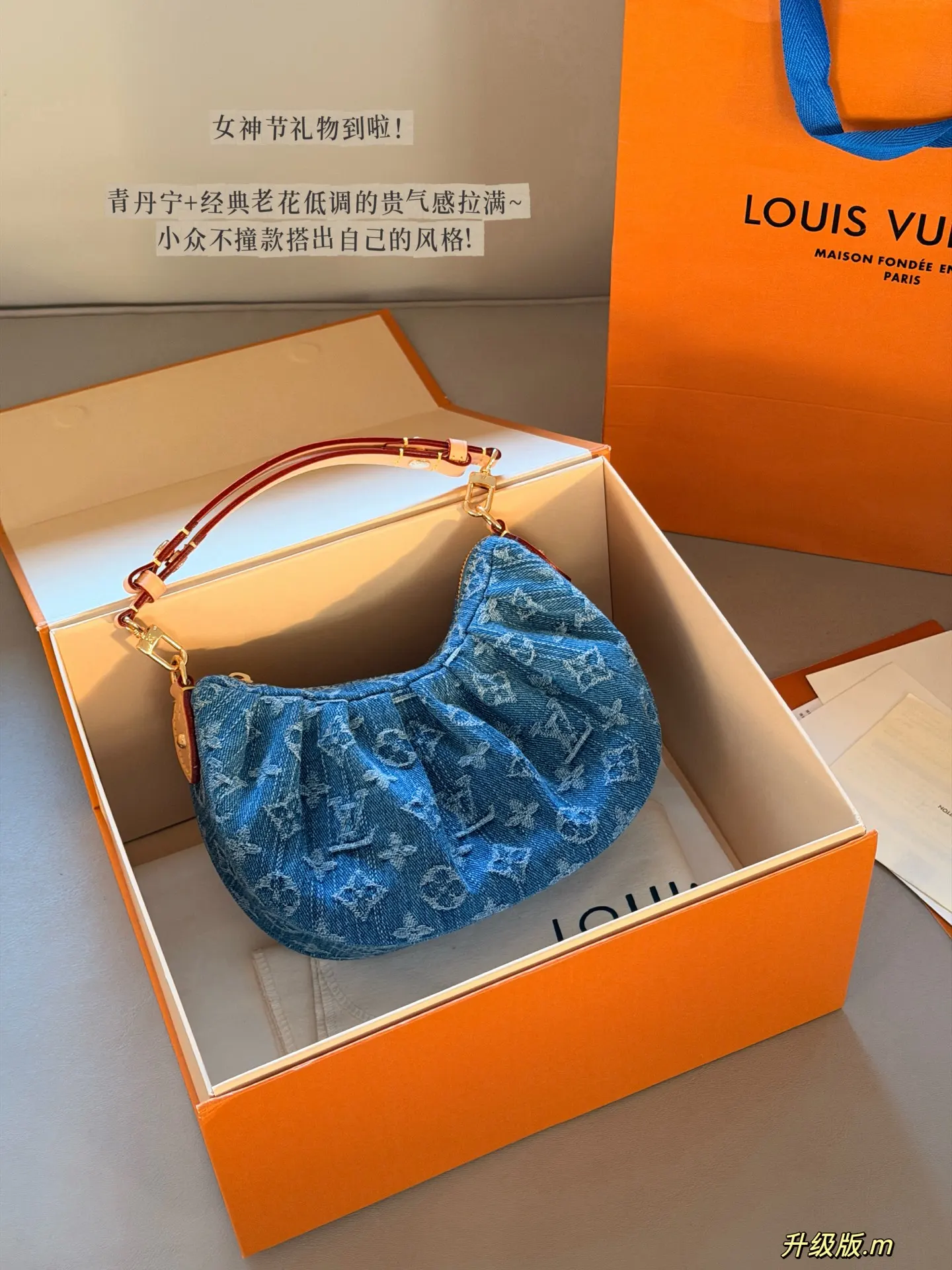 Denim Monogram Croissant Shoulder Bag D34018048