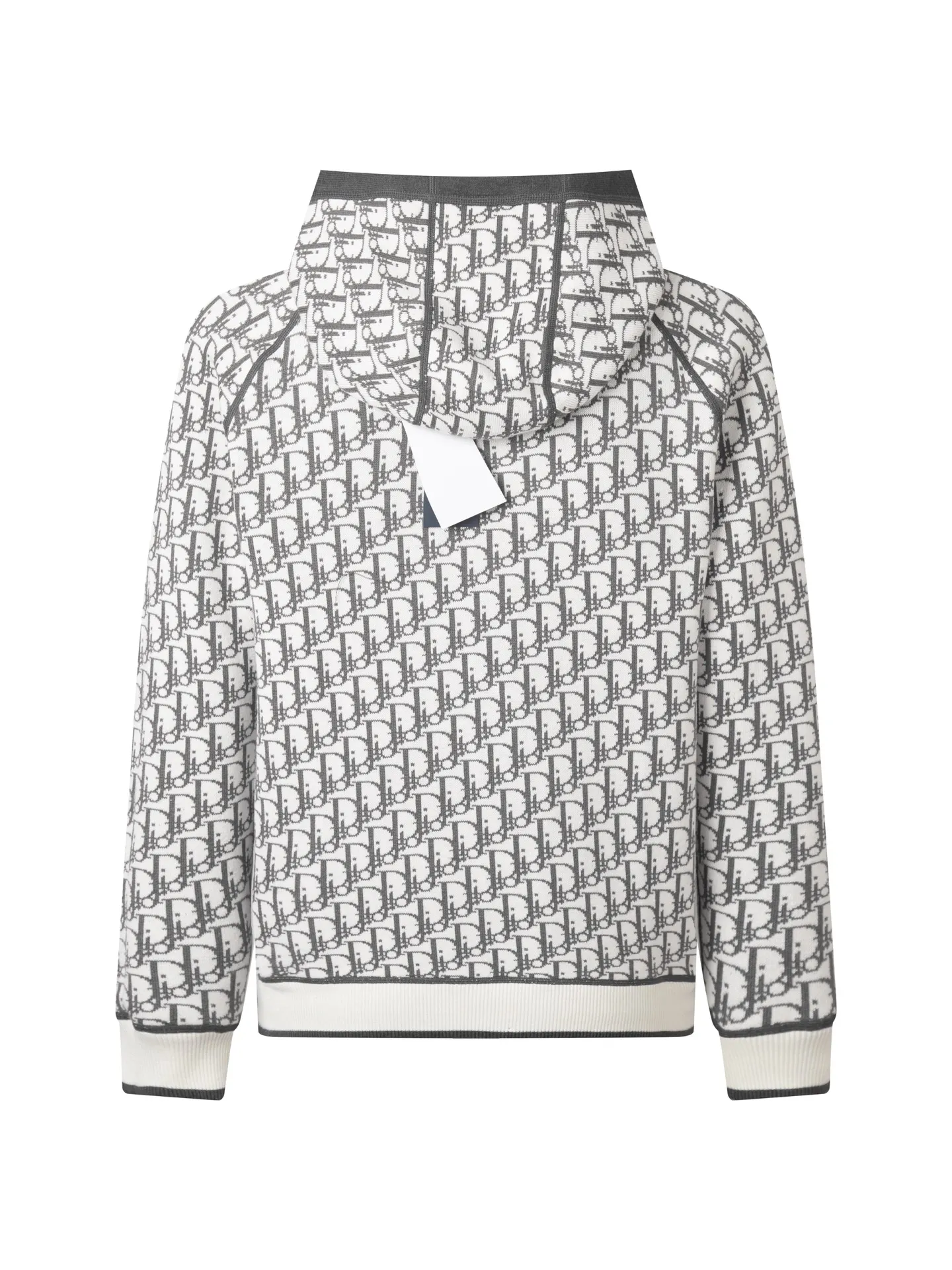 Reversible Oblique Cashmere-Blend Zip Hoodie D34016058 — view 4