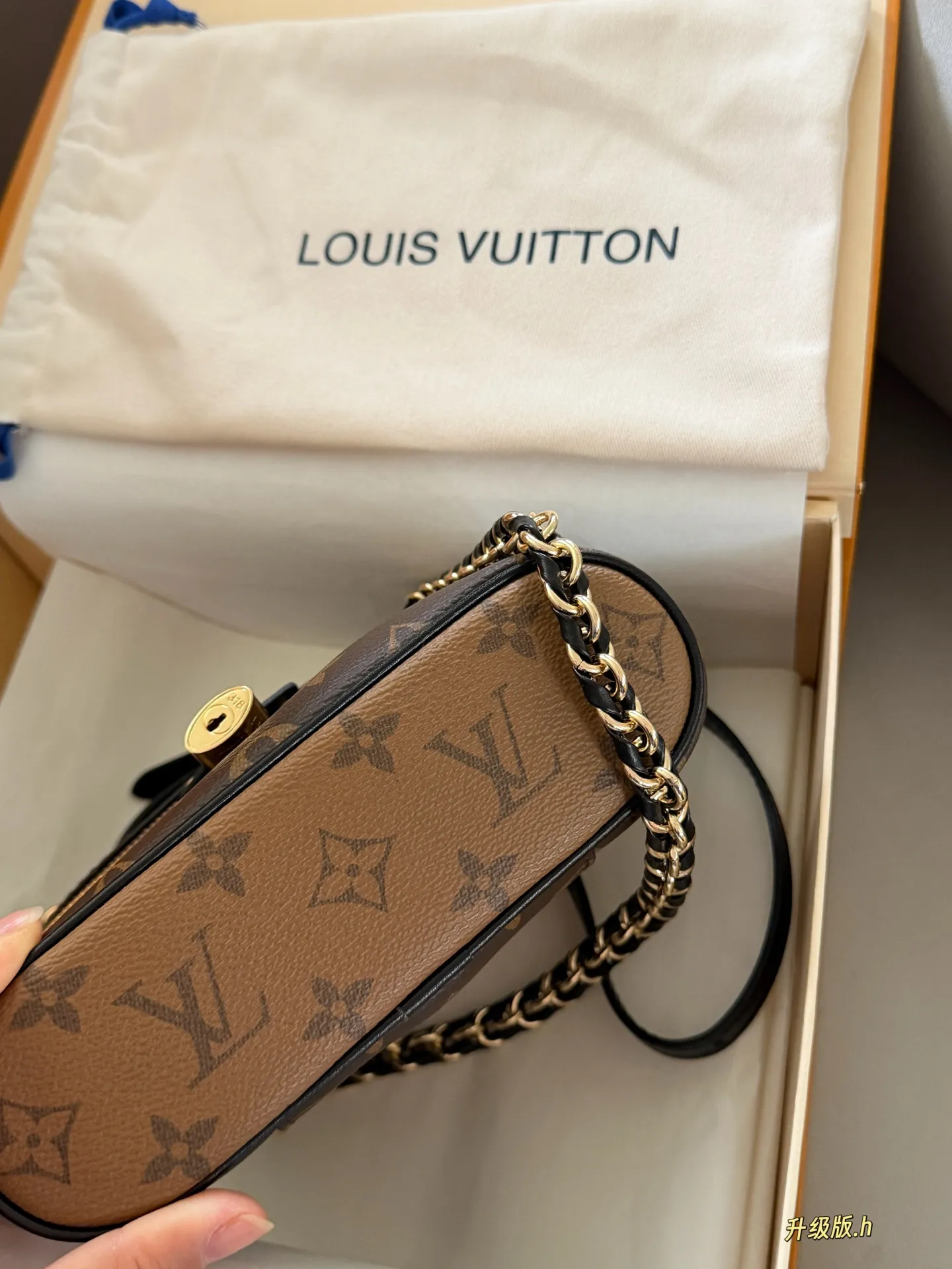 Monogram Vanity Box Bag D35518316 — view 8