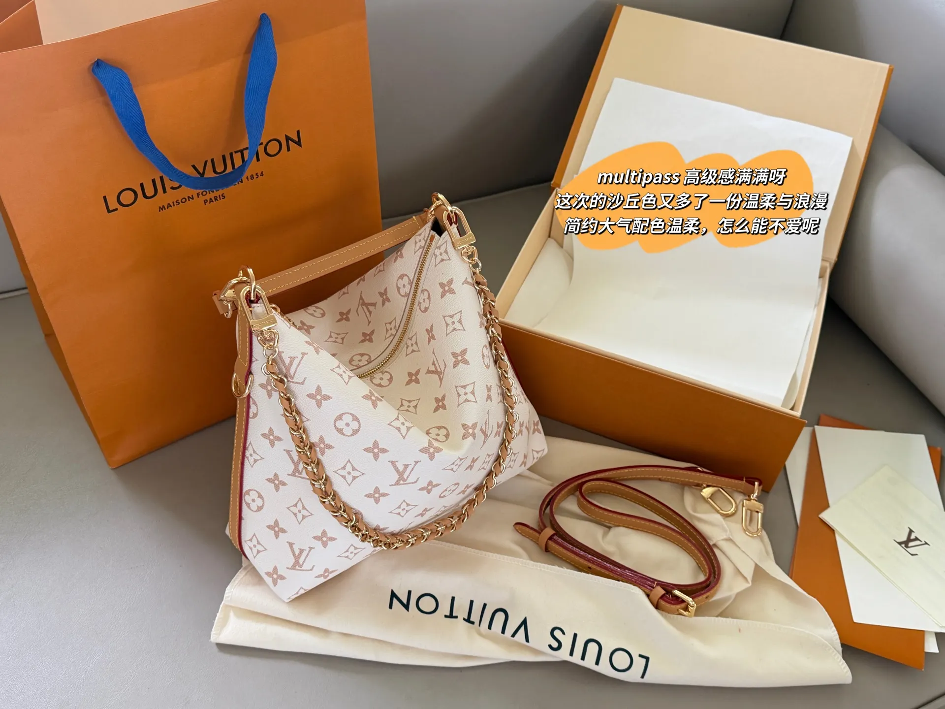 Multipass Monogram Hobo Bag D36018204