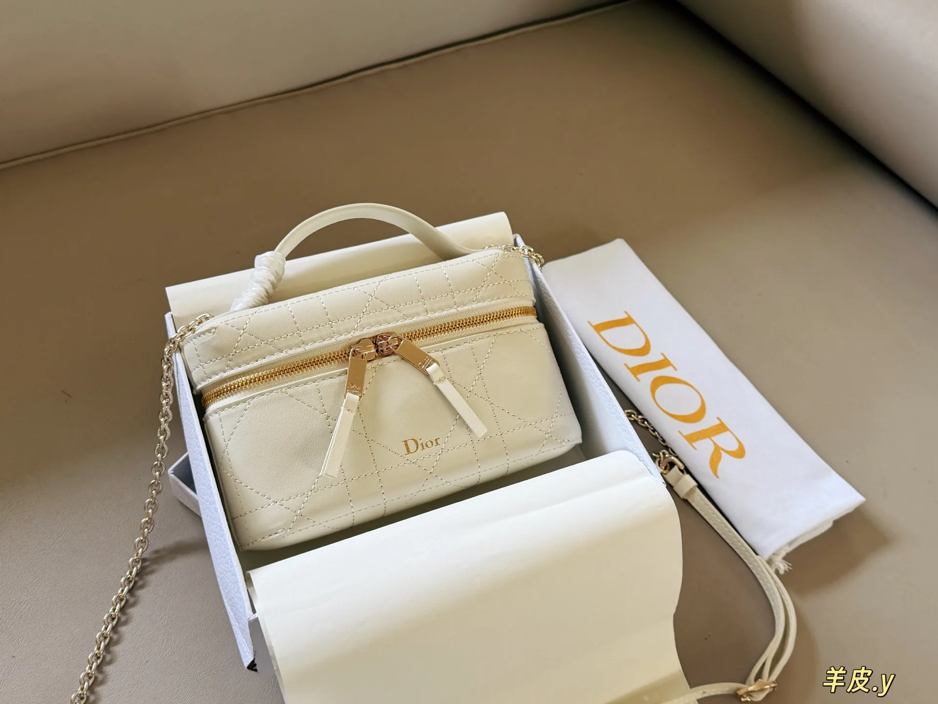 Dior Caro Lambskin Vanity Case D37018476