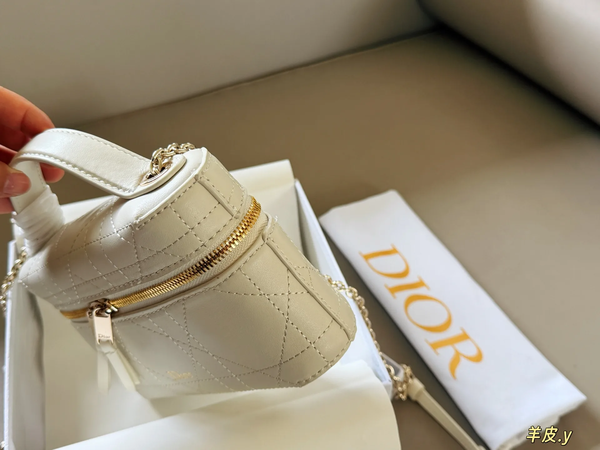 Dior Caro Lambskin Vanity Case D37018476 — view 6
