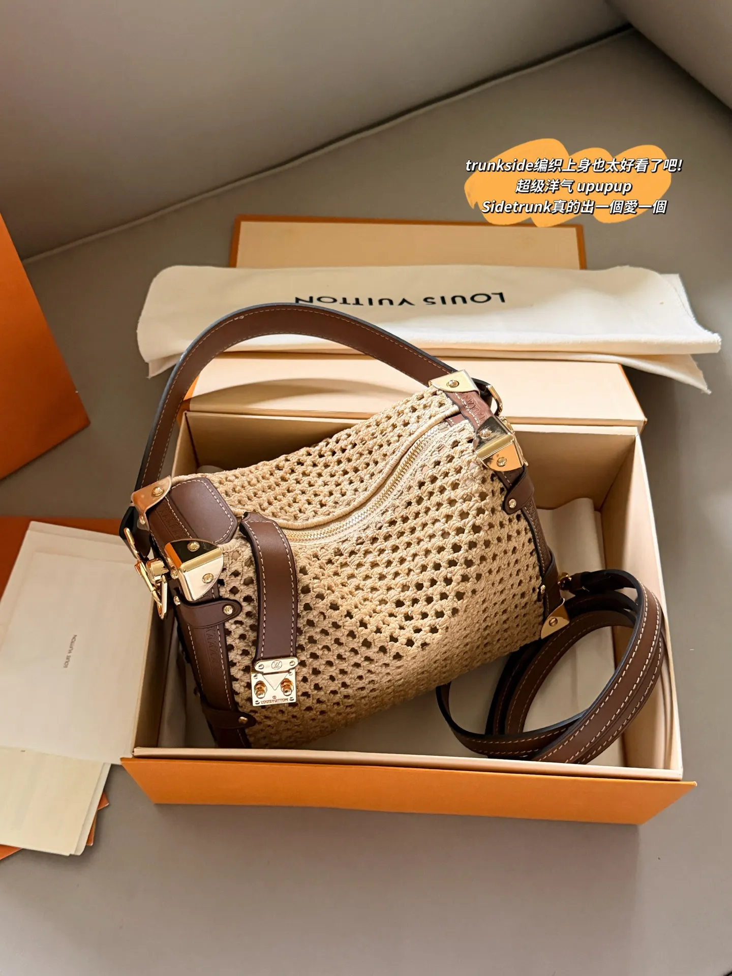 Trunkside Woven Shoulder Bag D37518202
