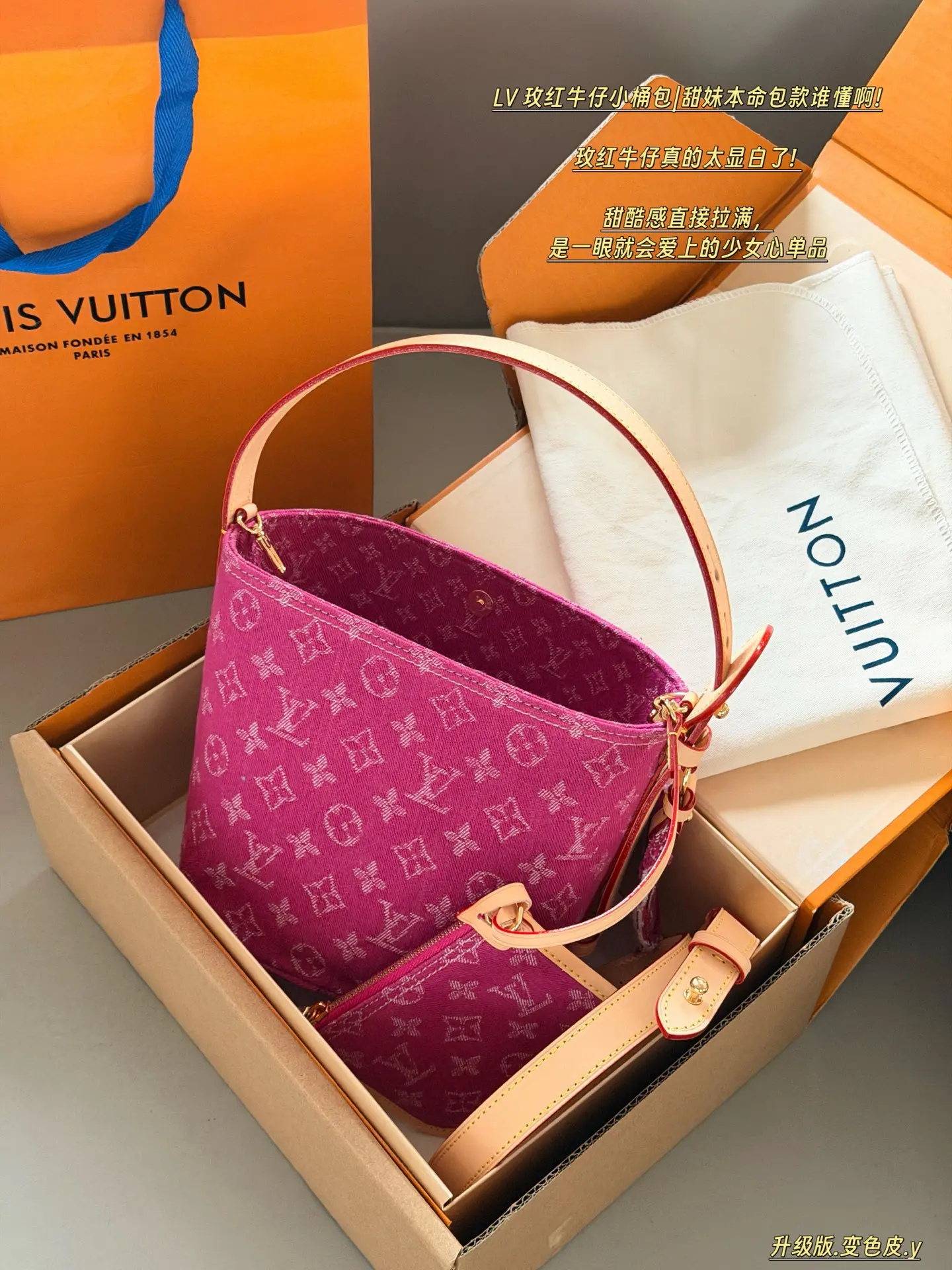 Monogram Denim All-In BB Bucket Bag D38018267